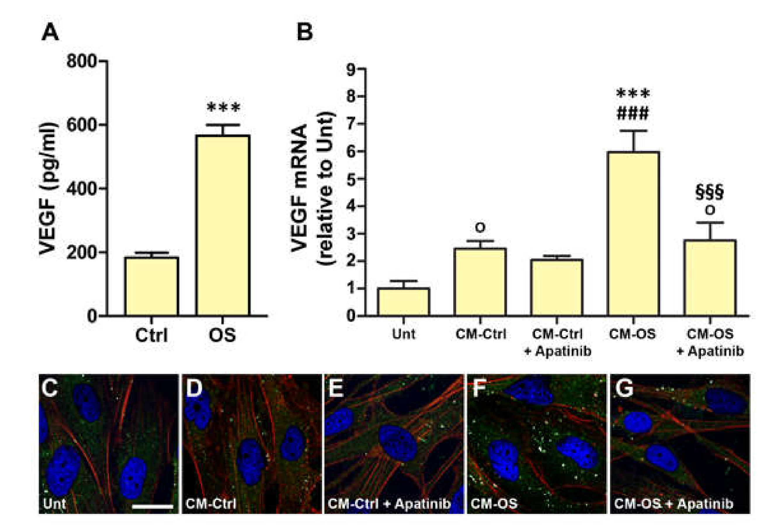 Cells 09 01452 g003 Cells 09 01452 g003