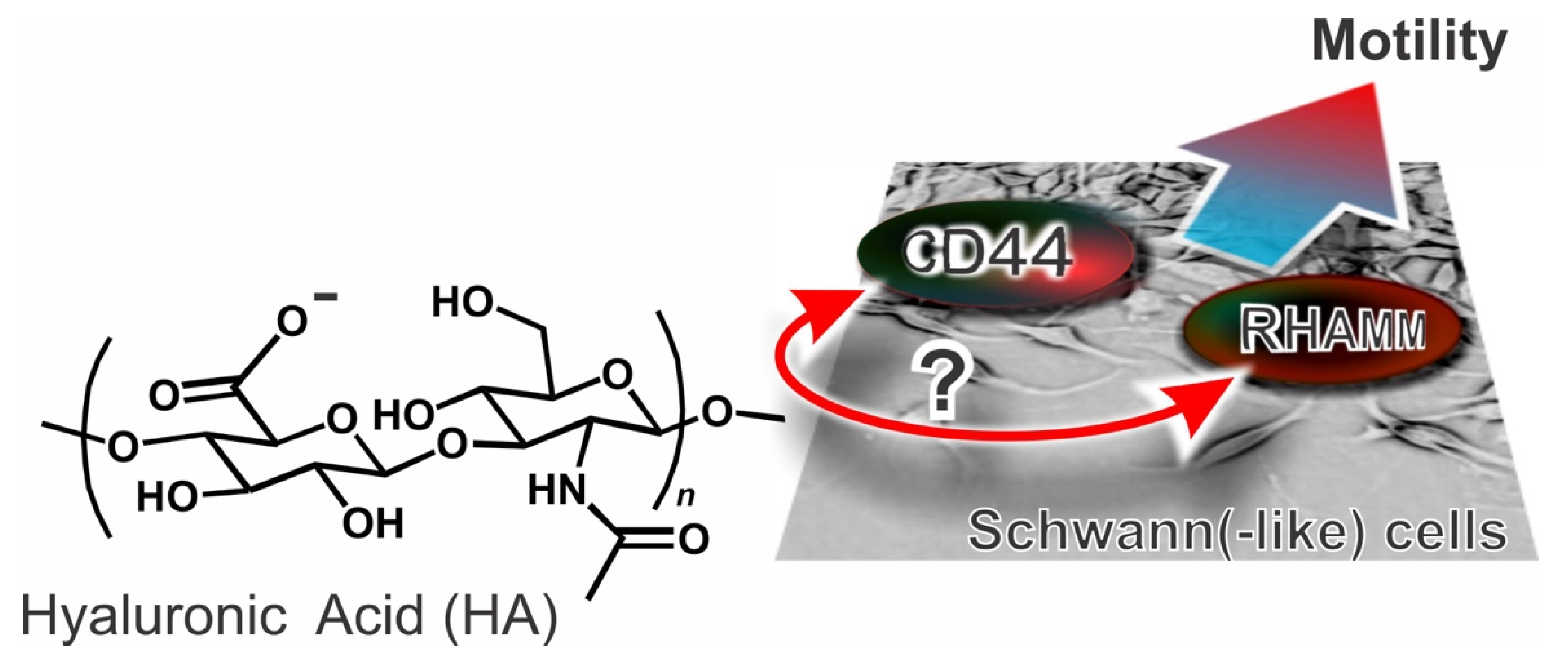 Cells 09 01477 sch001 Cells 09 01477 sch001