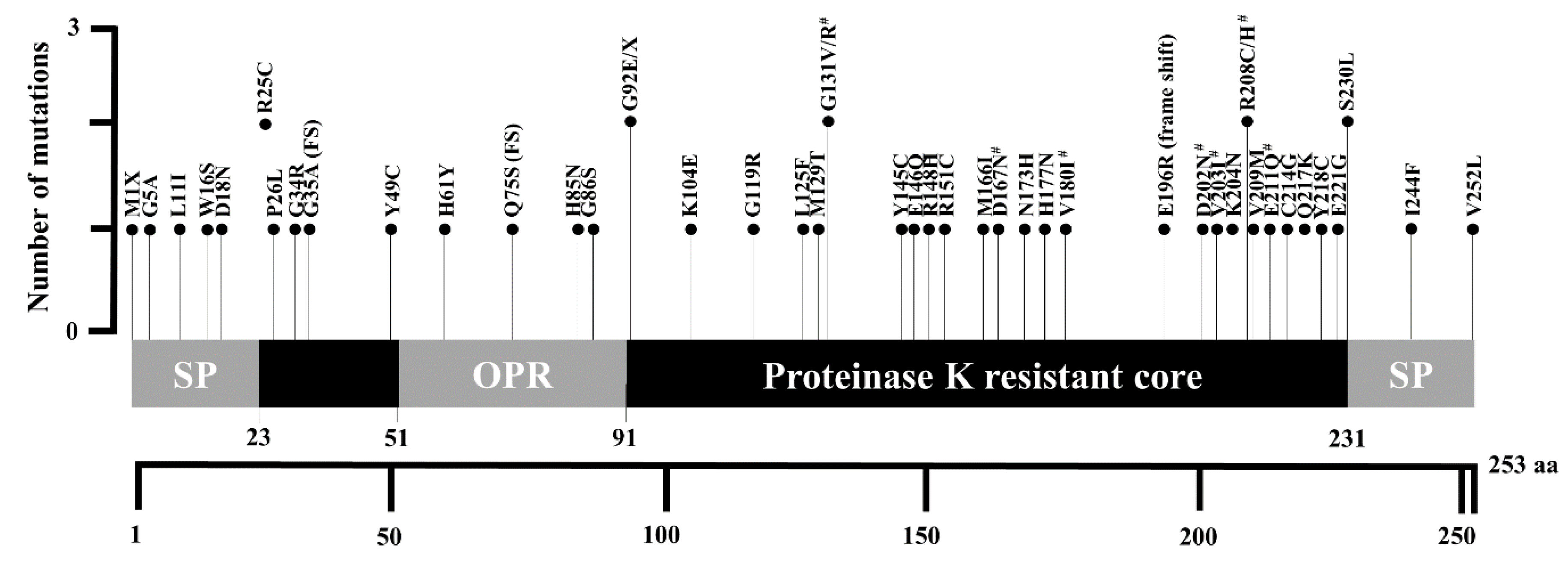 Cells 09 01480 g001 Cells 09 01480 g001
