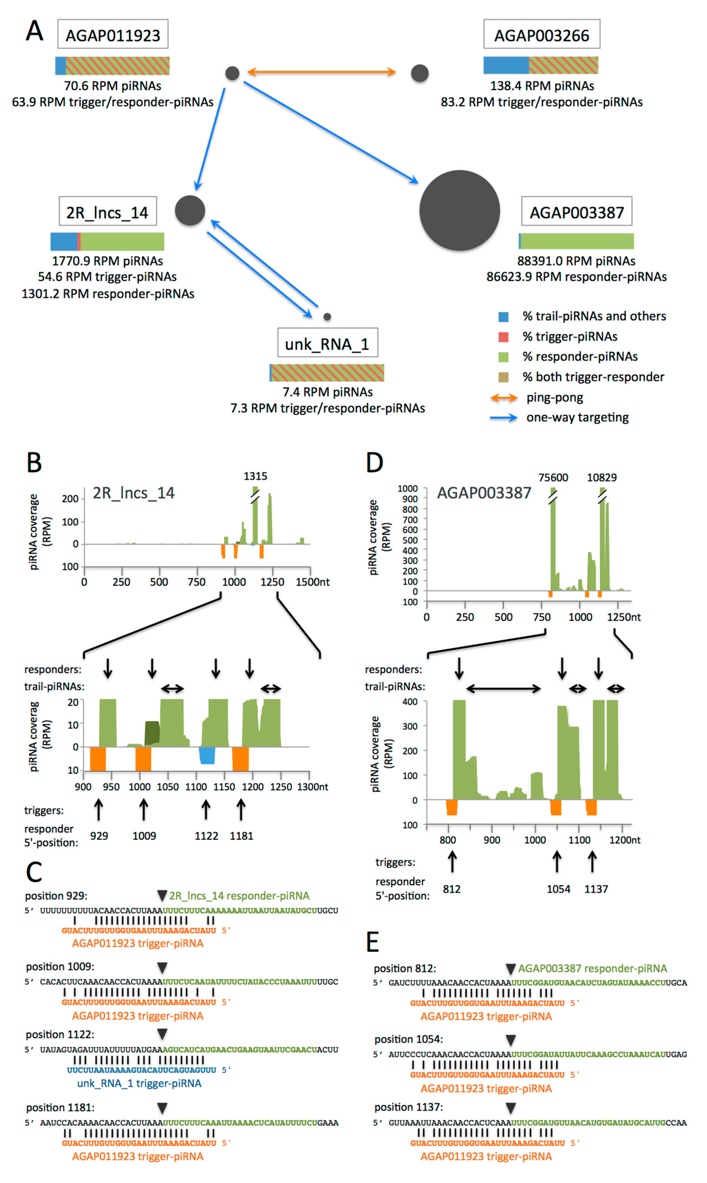 Cells 09 01491 g004 Cells 09 01491 g004