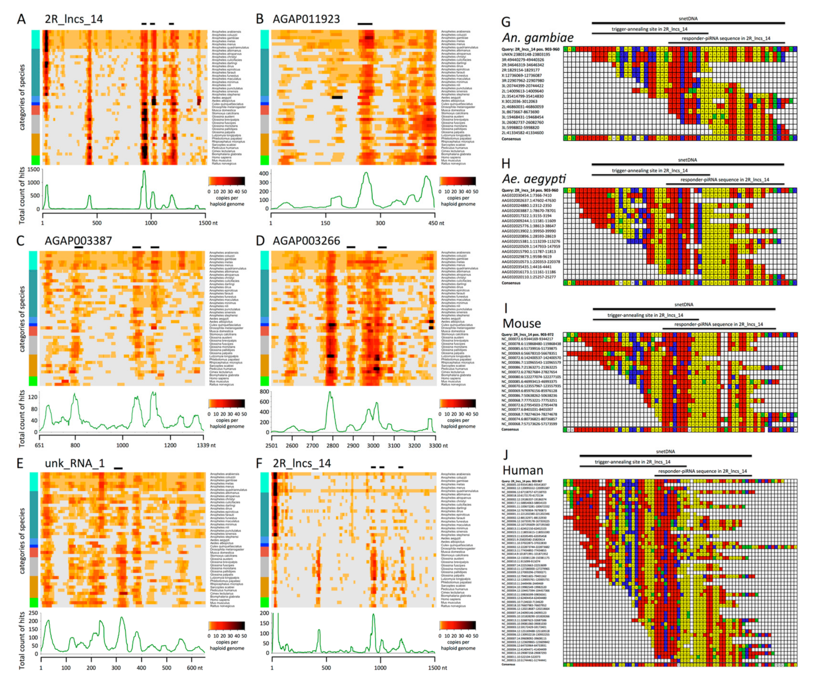 Cells 09 01491 g005 Cells 09 01491 g005