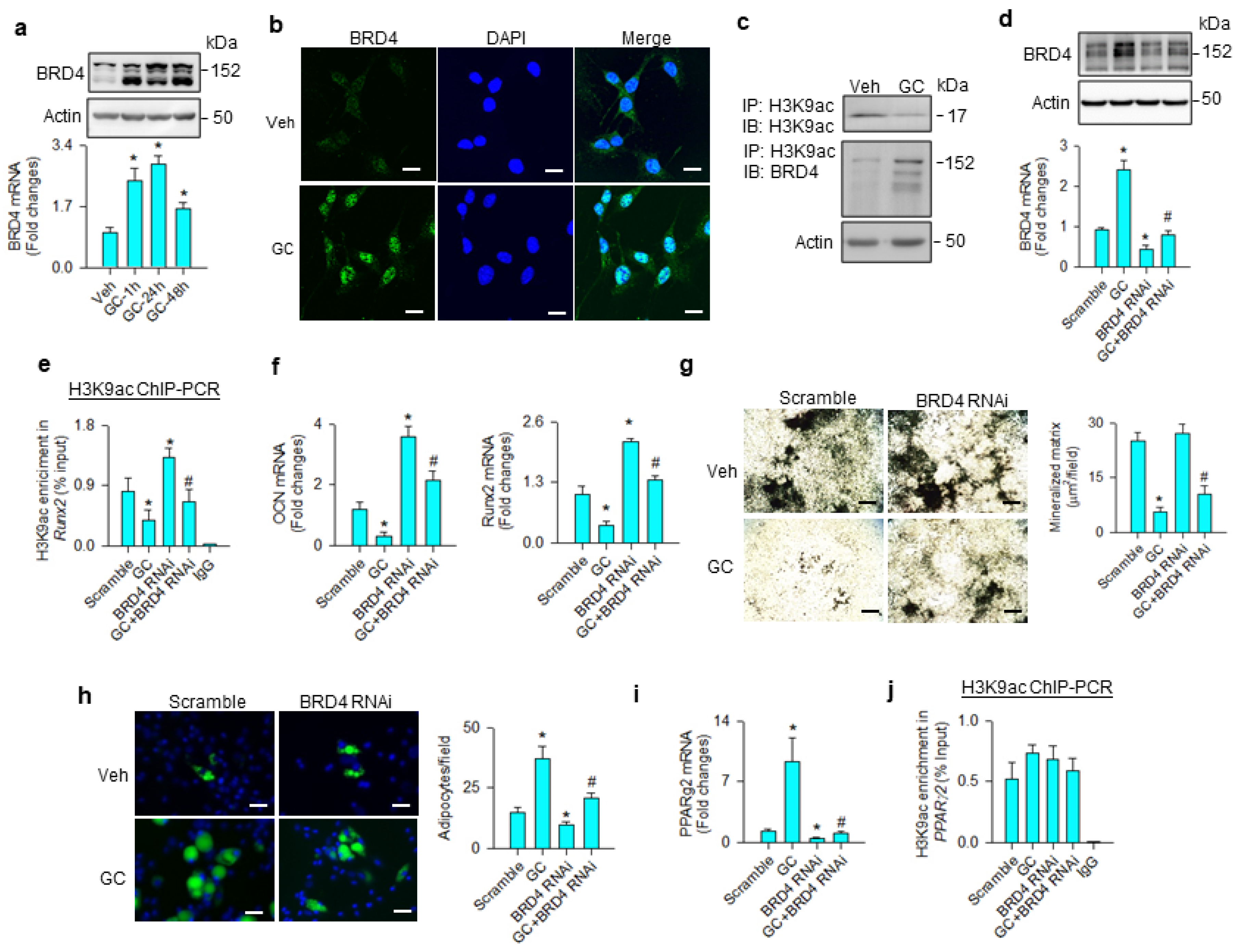 Cells 09 01500 g002 Cells 09 01500 g002