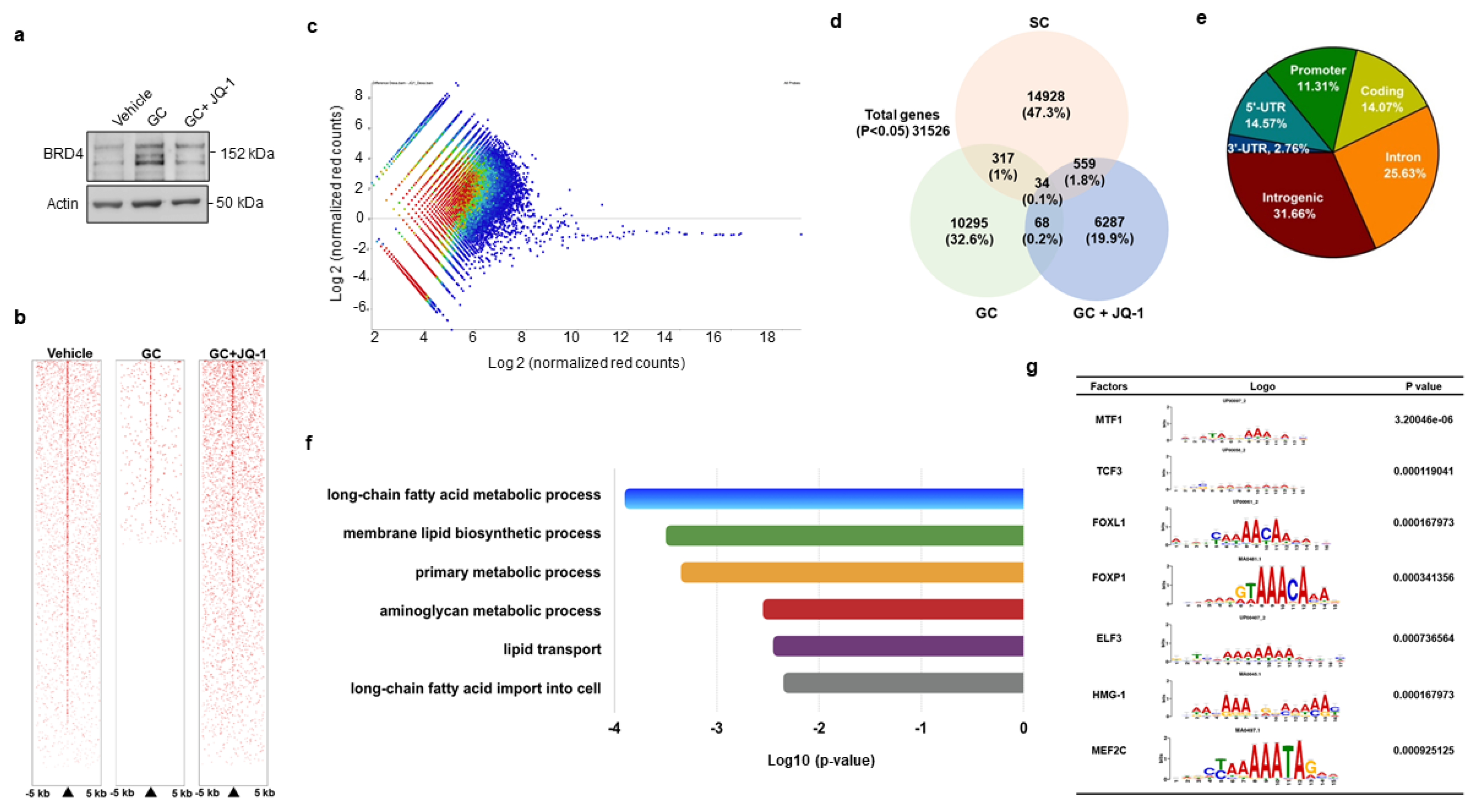 Cells 09 01500 g003 Cells 09 01500 g003