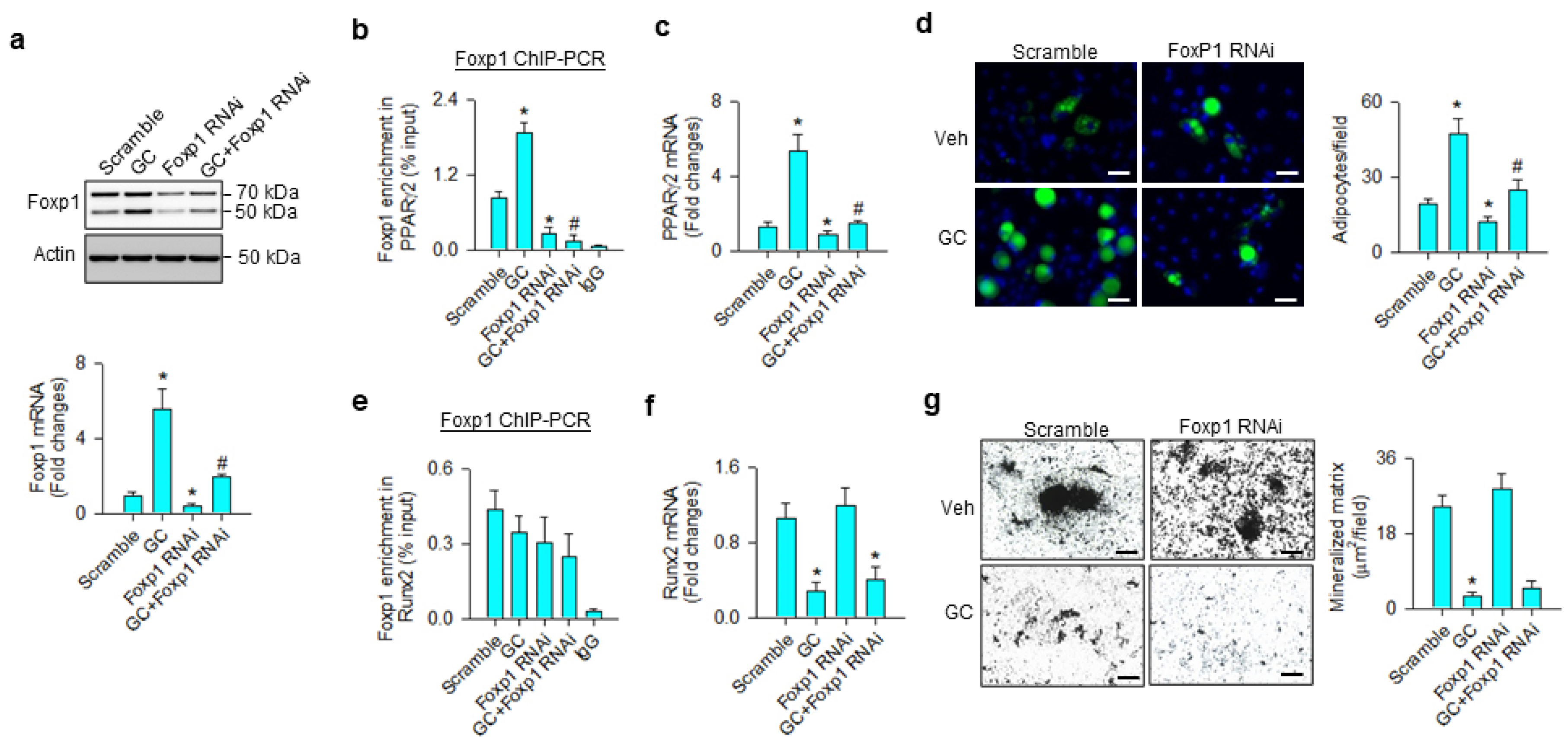 Cells 09 01500 g005 Cells 09 01500 g005