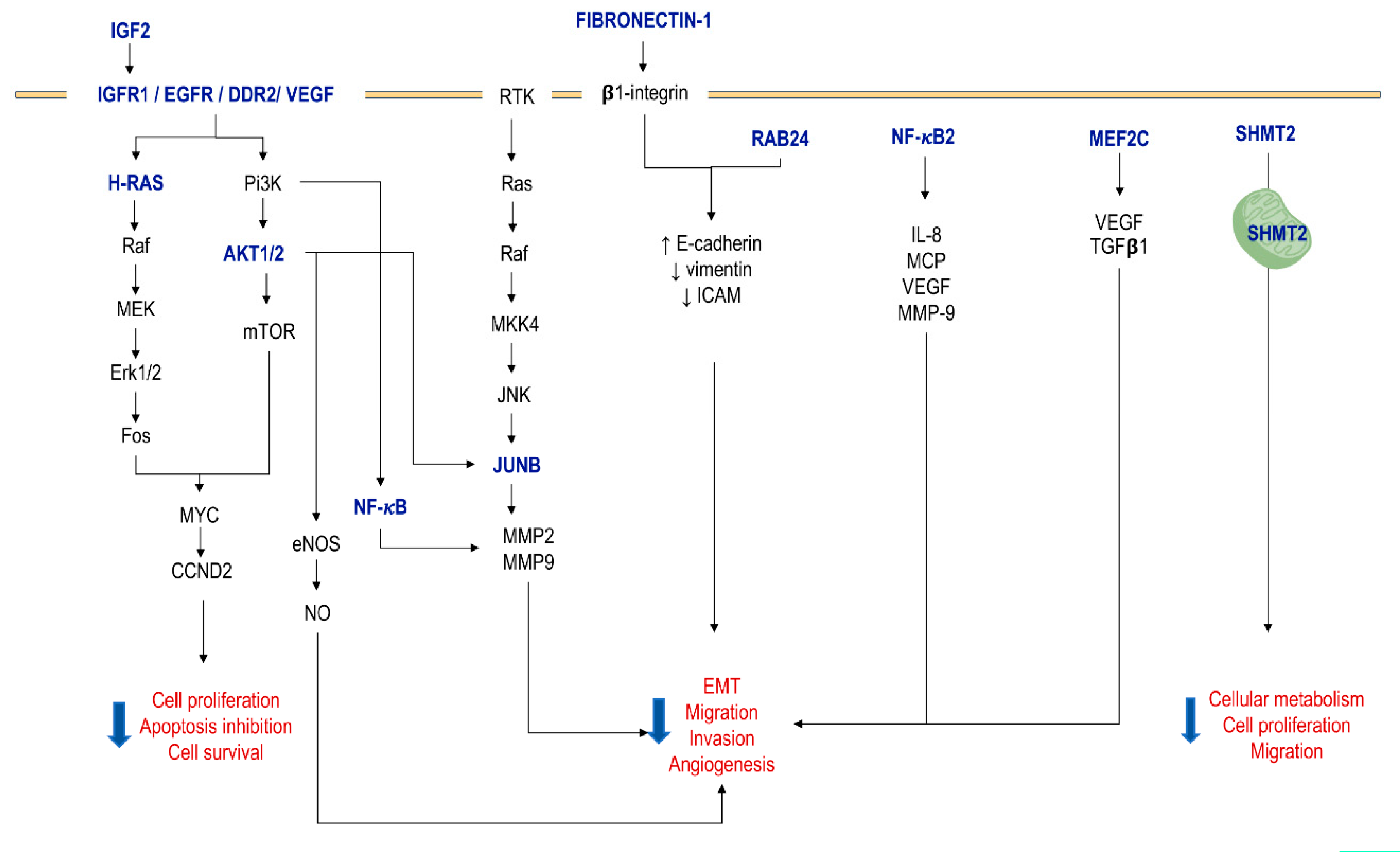 Cells 09 01566 g002 Cells 09 01566 g002