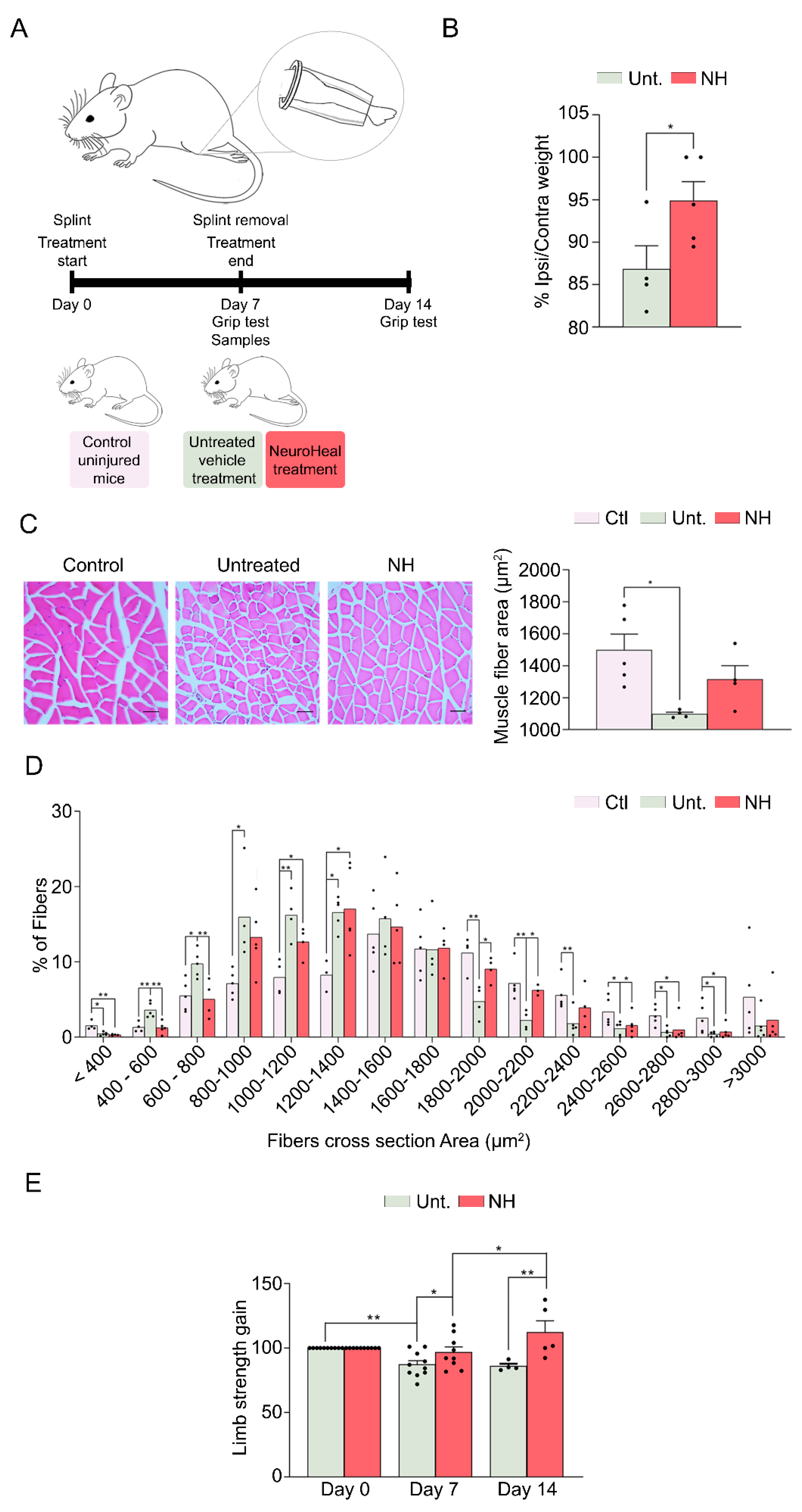 Cells 09 01575 g002 Cells 09 01575 g002