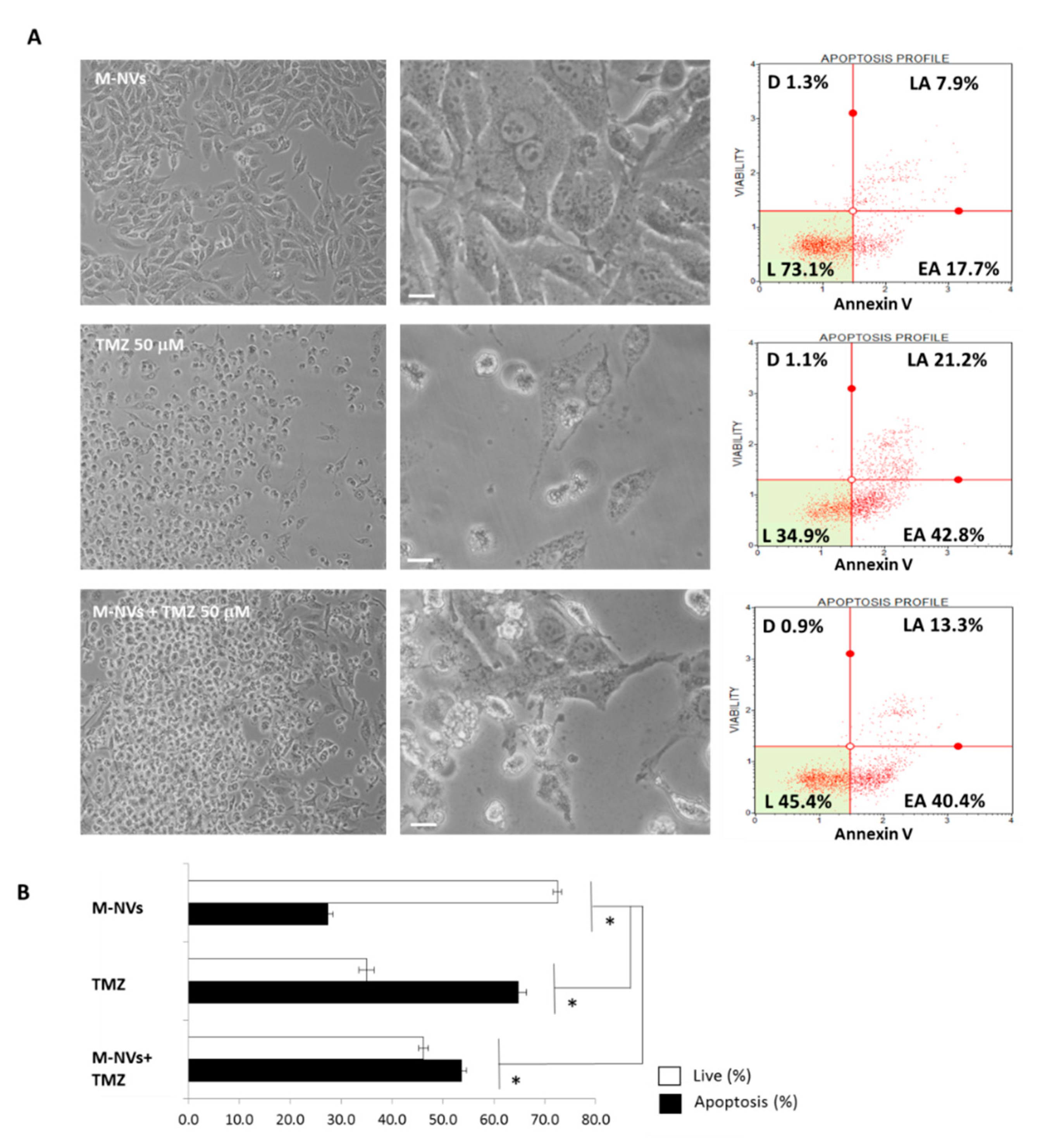 Cells 09 01626 g010 Cells 09 01626 g010