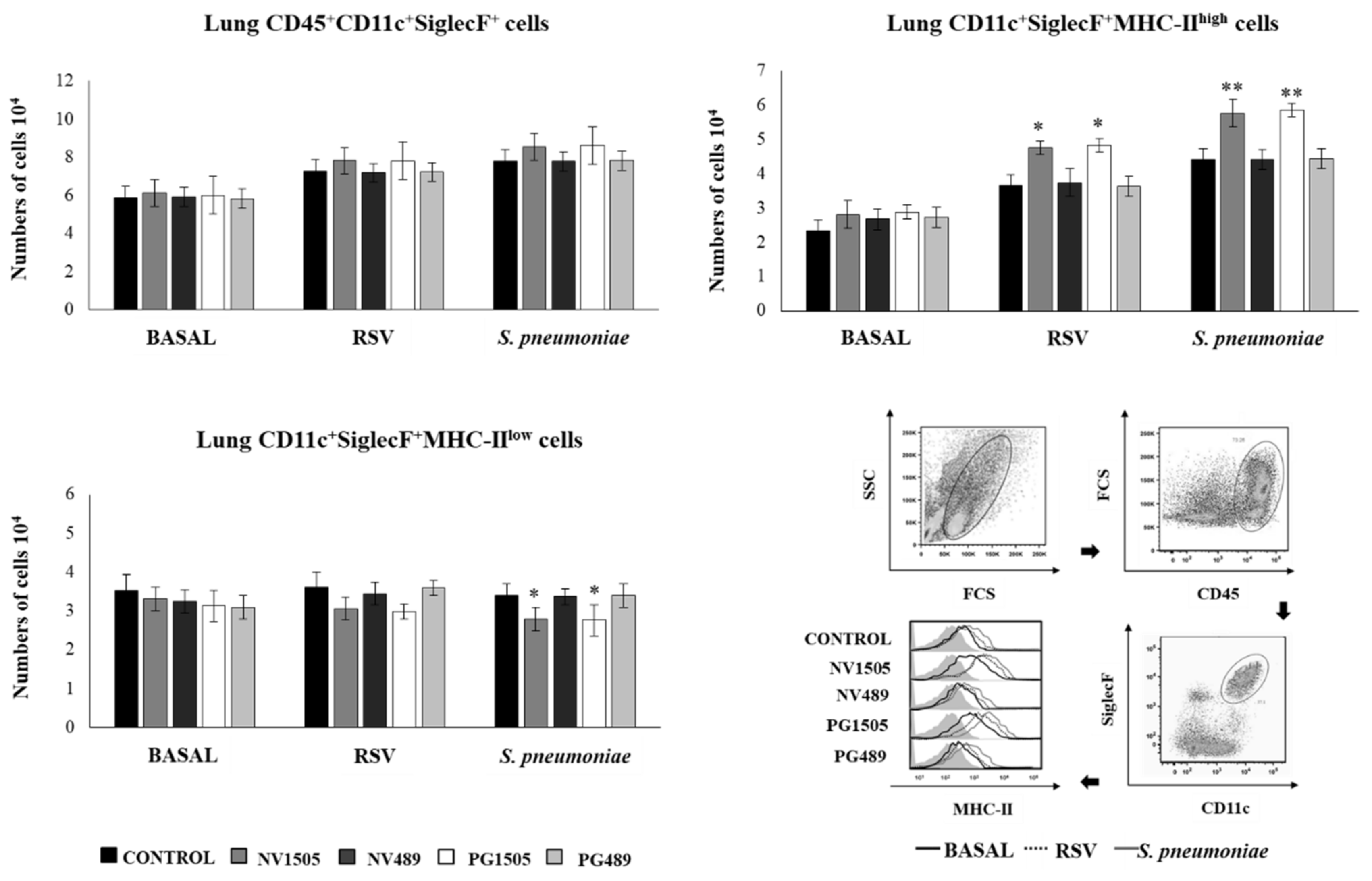 Cells 09 01653 g010 Cells 09 01653 g010