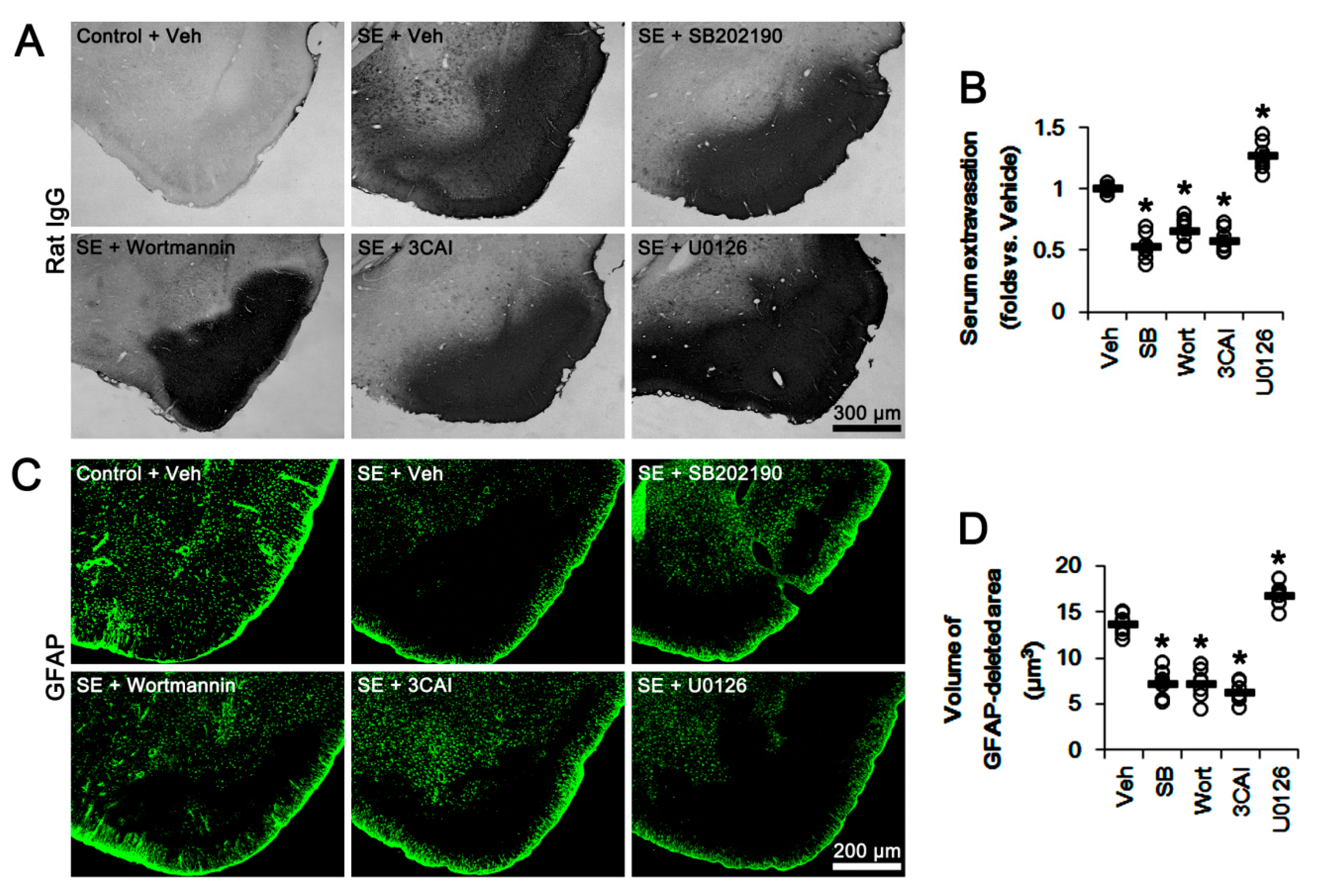 Cells 09 01670 g008 Cells 09 01670 g008