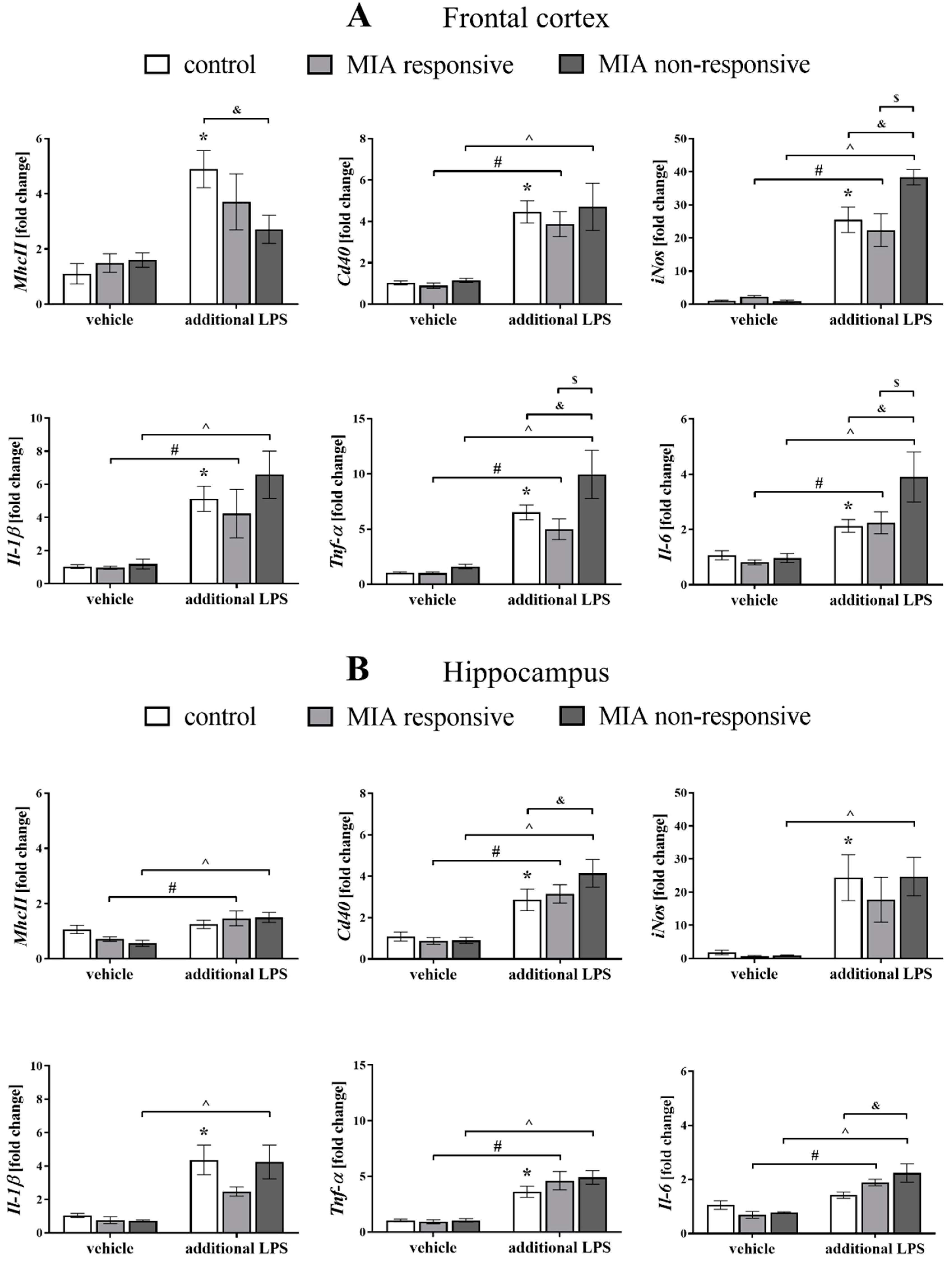 Cells 09 01676 g009 Cells 09 01676 g009