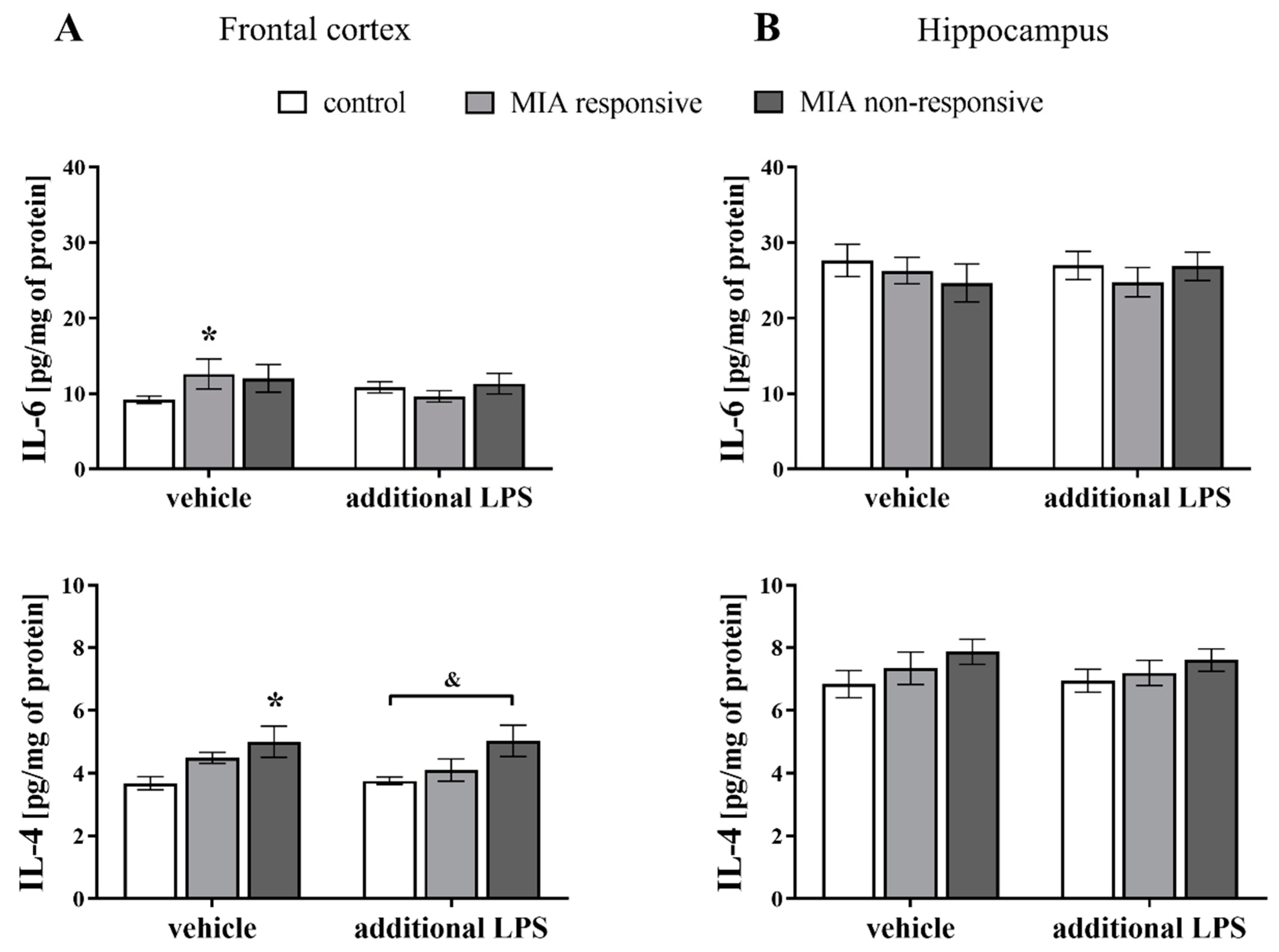 Cells 09 01676 g011 Cells 09 01676 g011