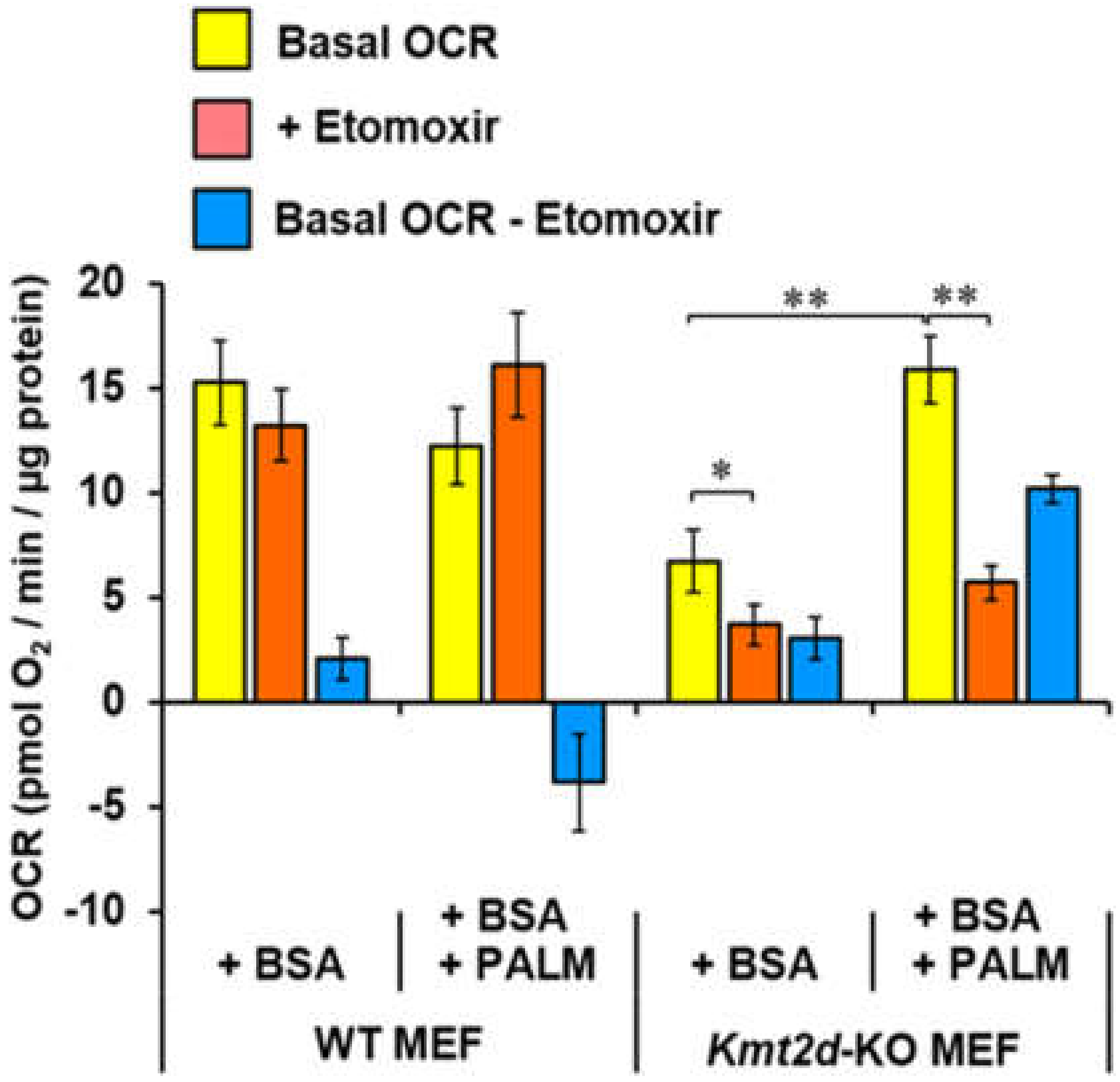 Cells 09 01685 g008 Cells 09 01685 g008