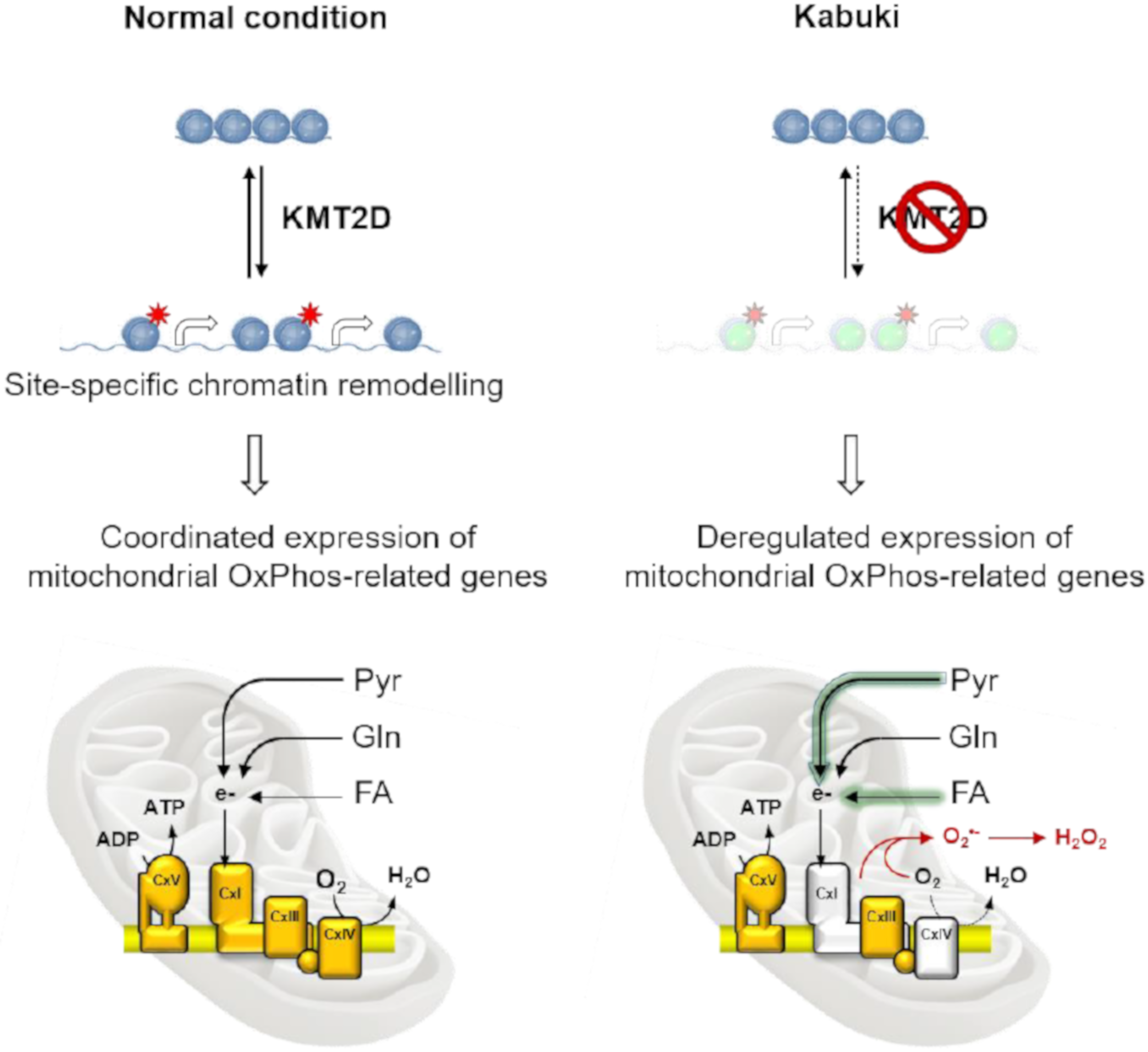 Cells 09 01685 g009 Cells 09 01685 g009