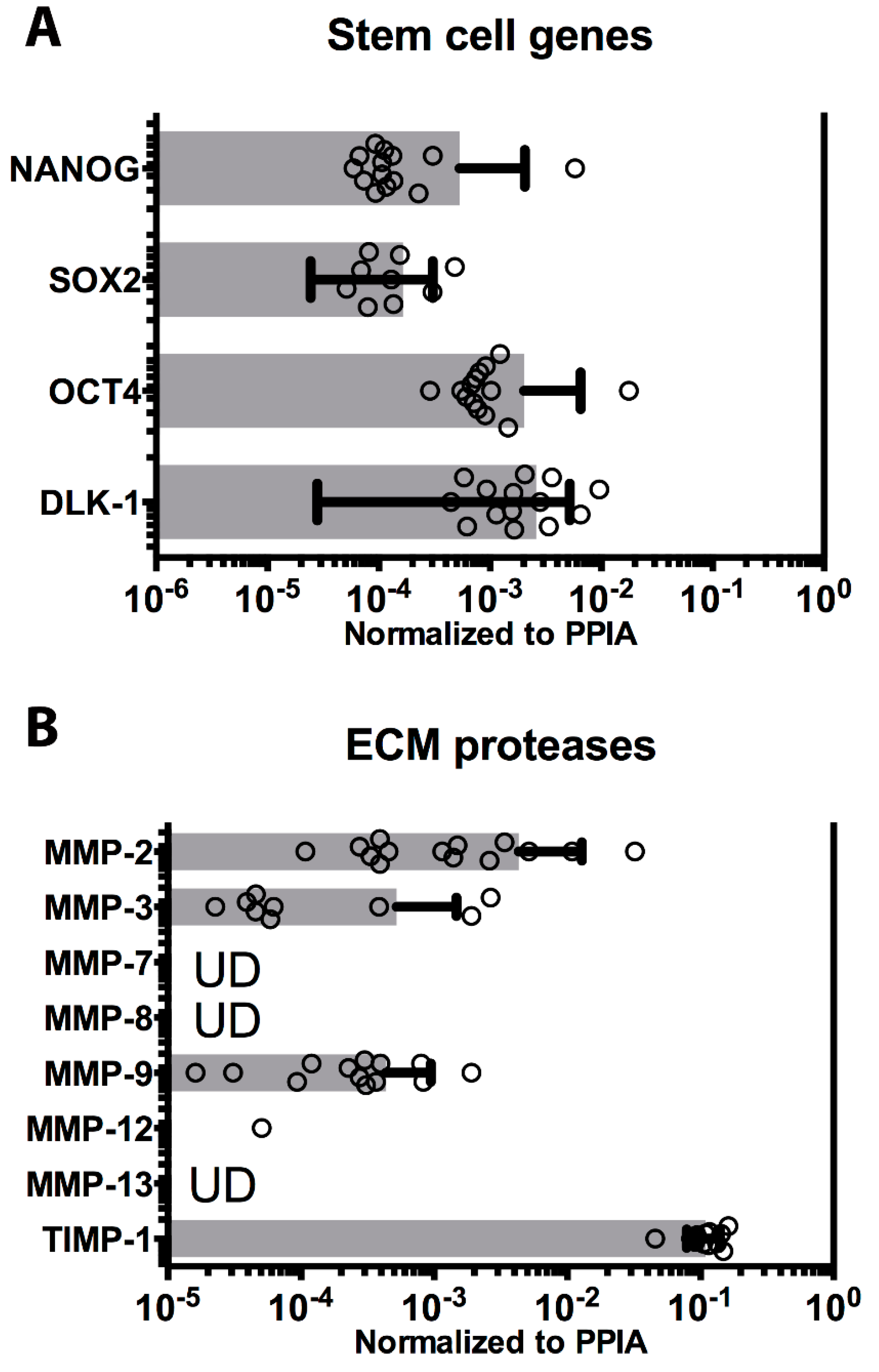 Cells 09 01696 g004 Cells 09 01696 g004