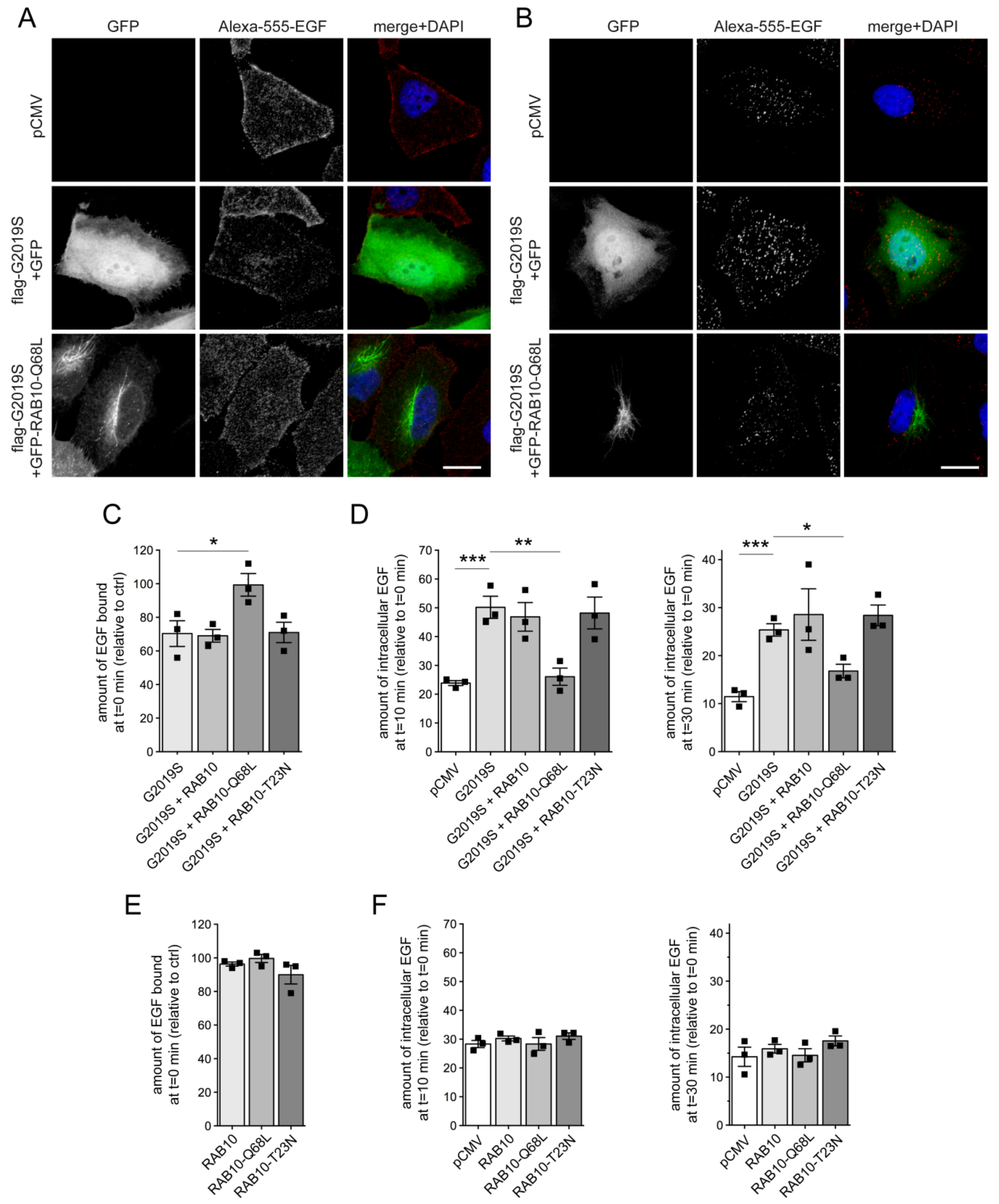 Cells 09 01719 g001 Cells 09 01719 g001