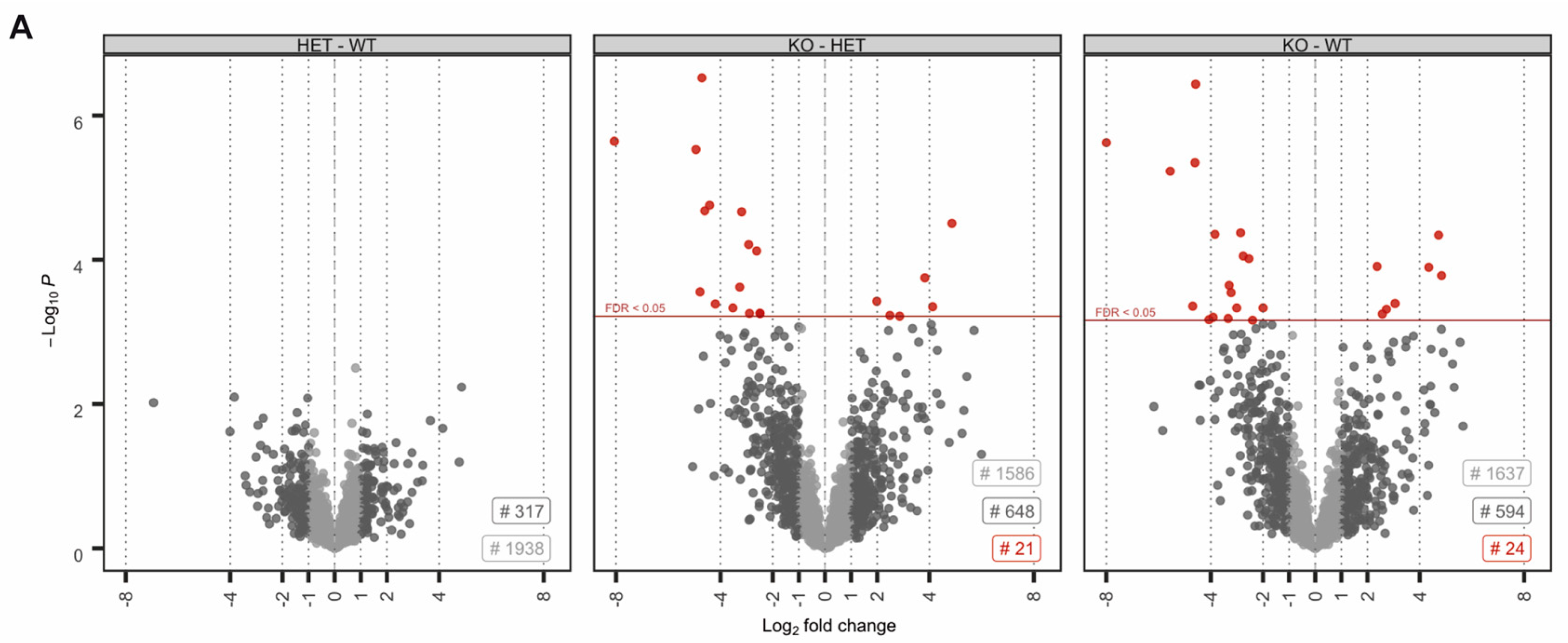 Cells 09 01789 g002a