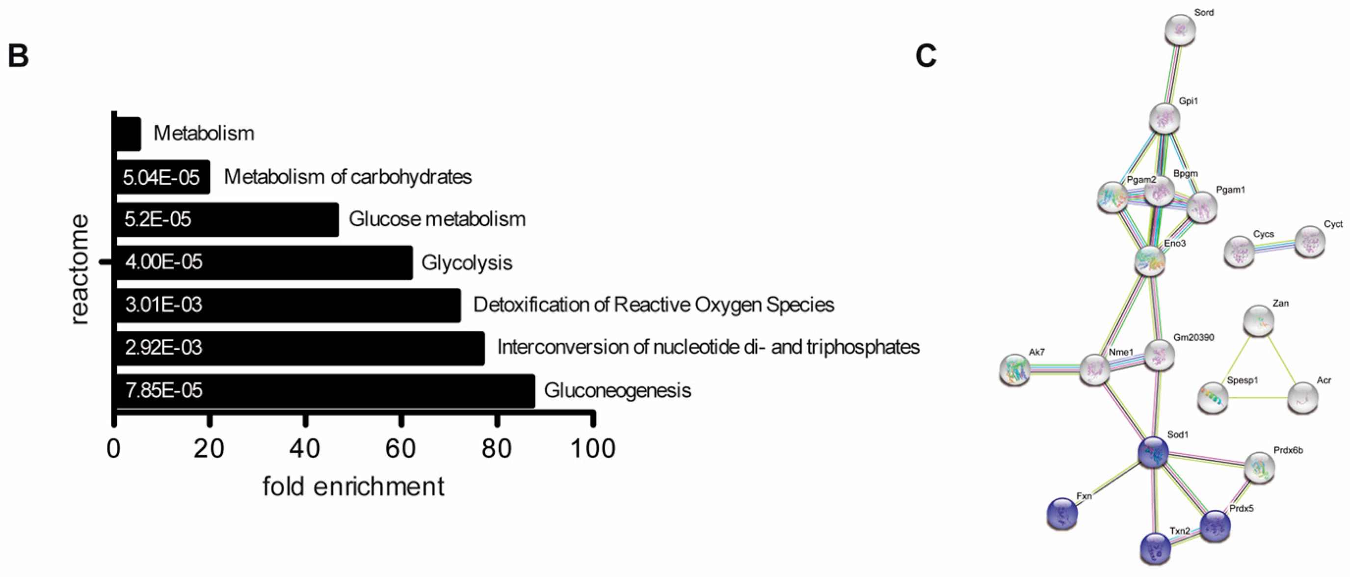 Cells 09 01789 g002b