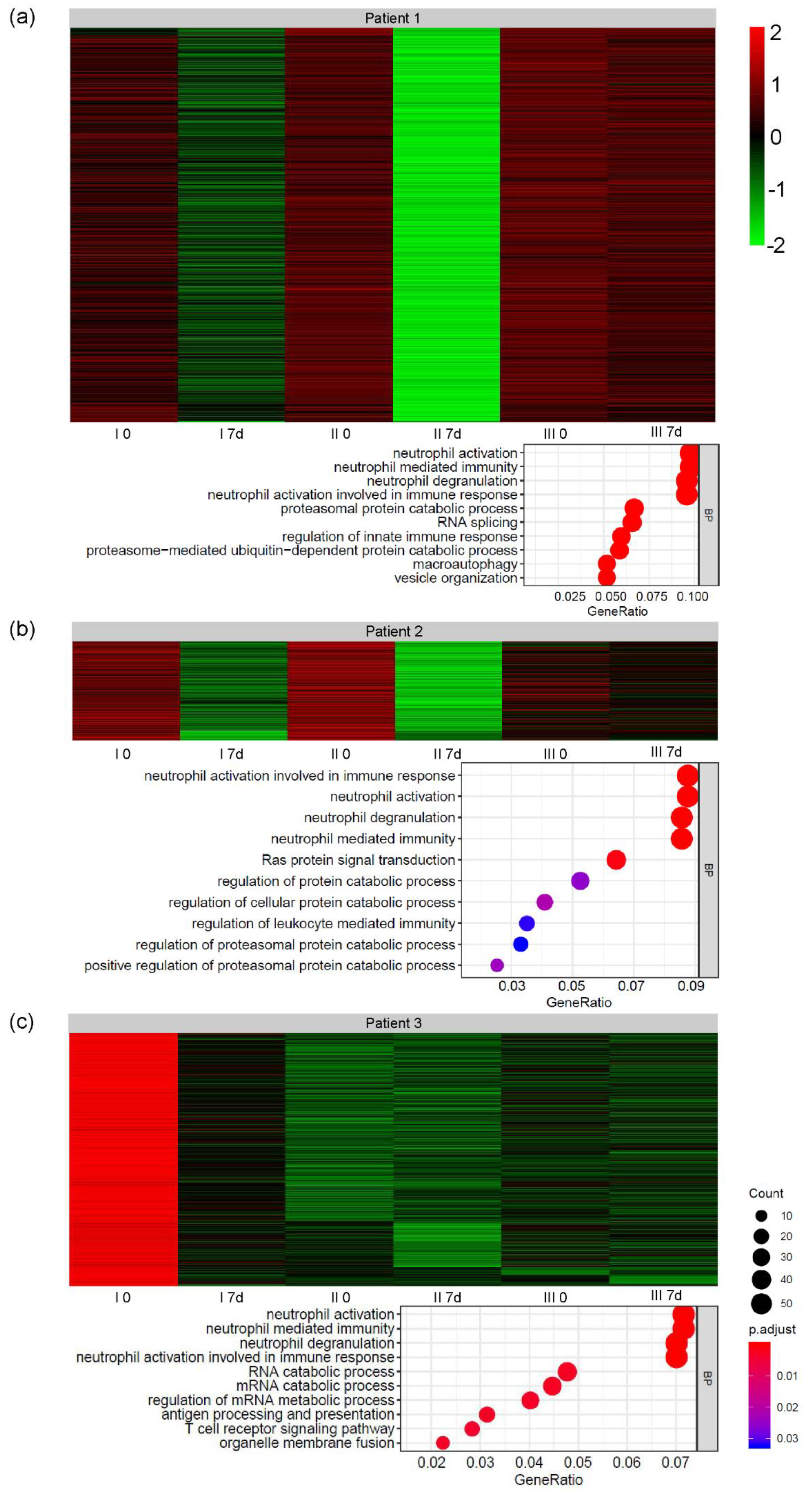 Cells 09 01822 g005 Cells 09 01822 g005