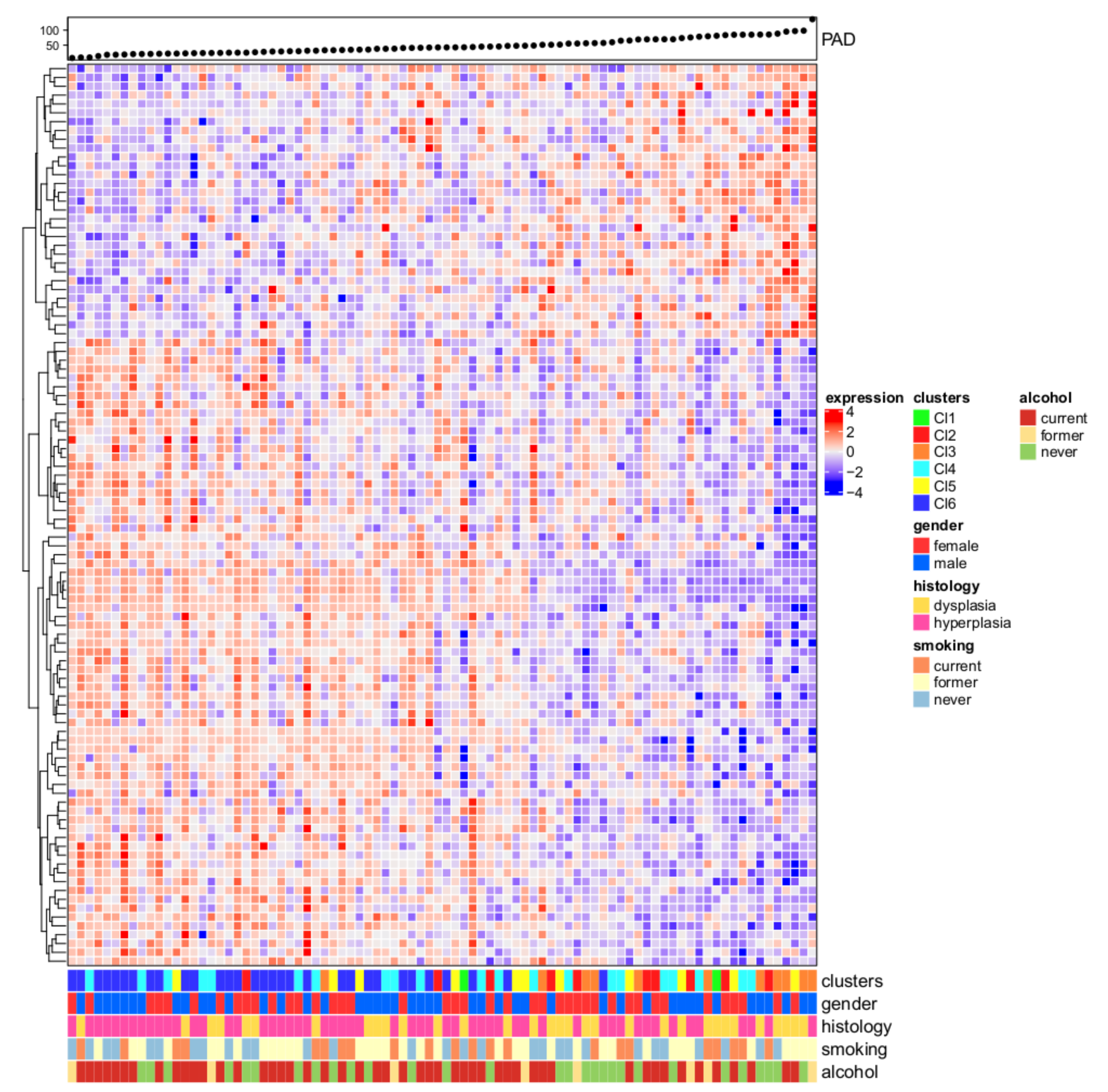 Cells 09 01828 g002 Cells 09 01828 g002