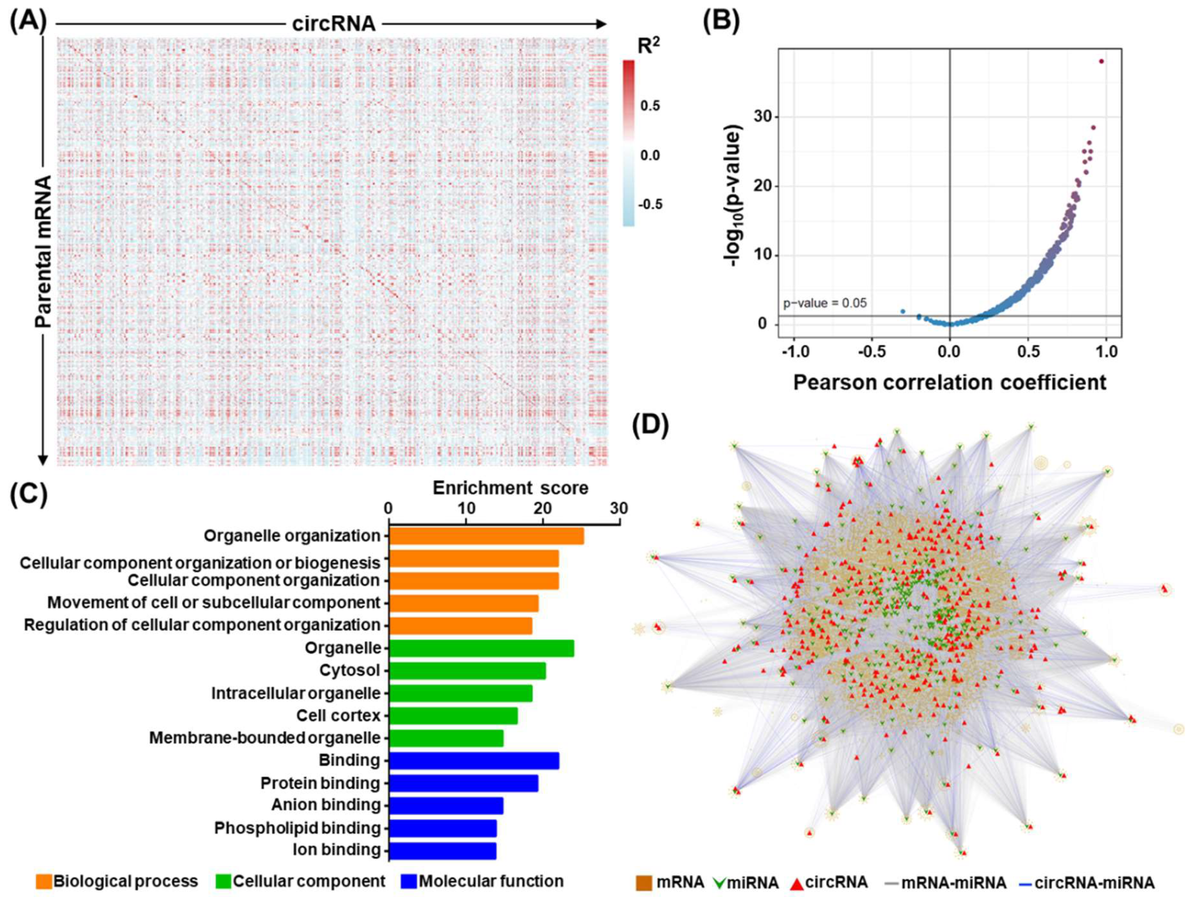 Cells 09 01868 g002 Cells 09 01868 g002