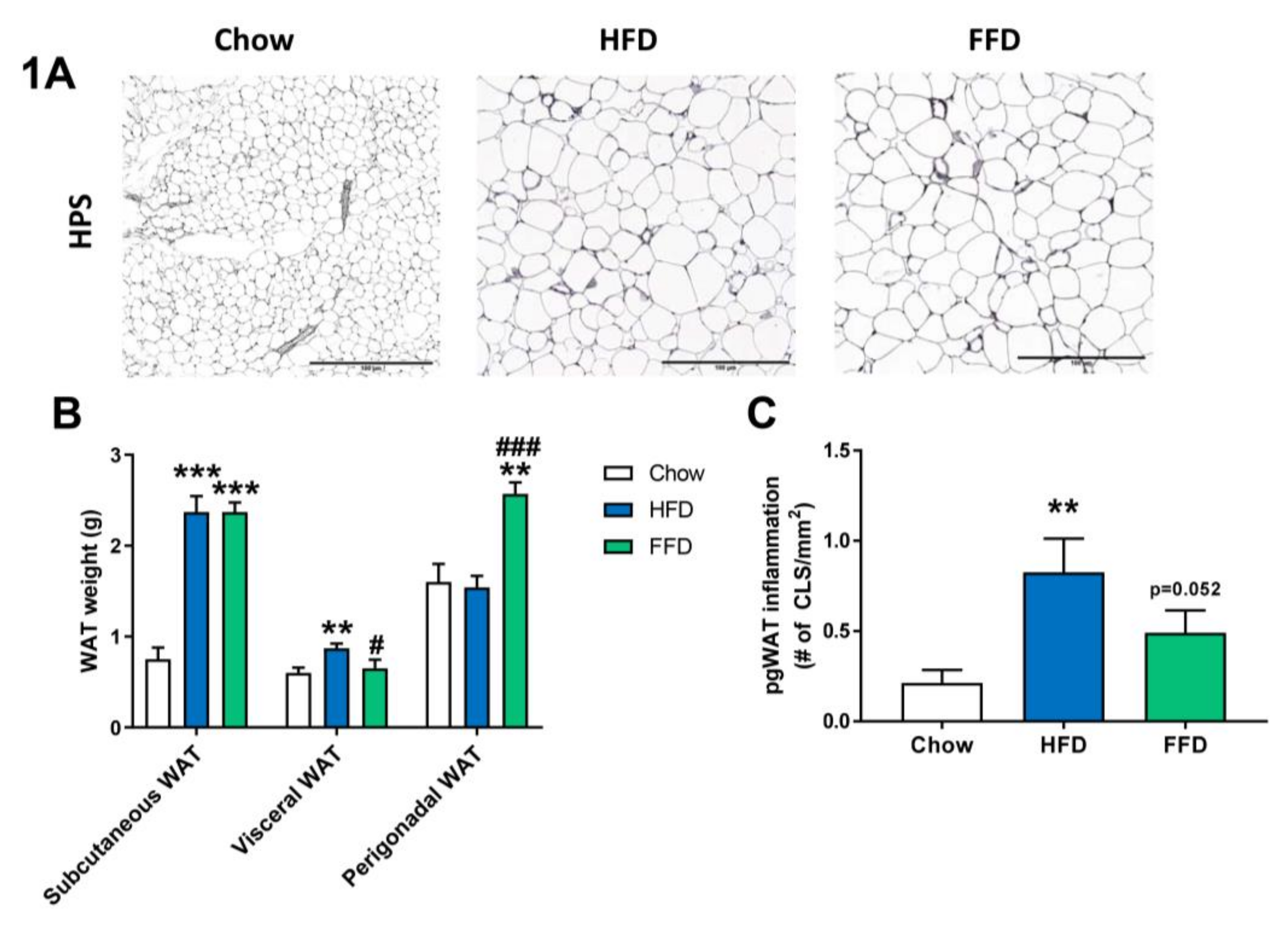 Cells 09 02014 g001 Cells 09 02014 g001