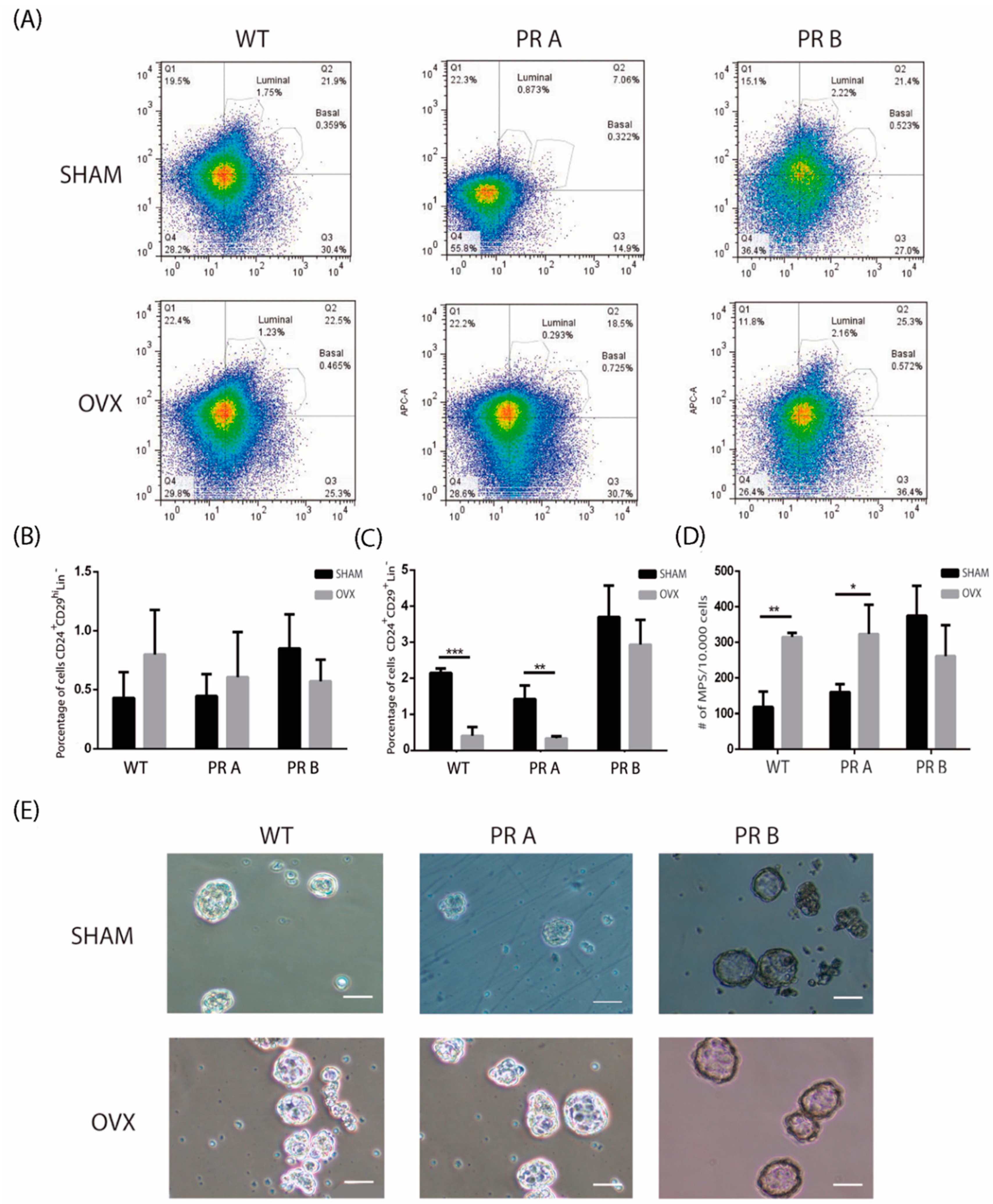 Cells 09 02074 g002 Cells 09 02074 g002