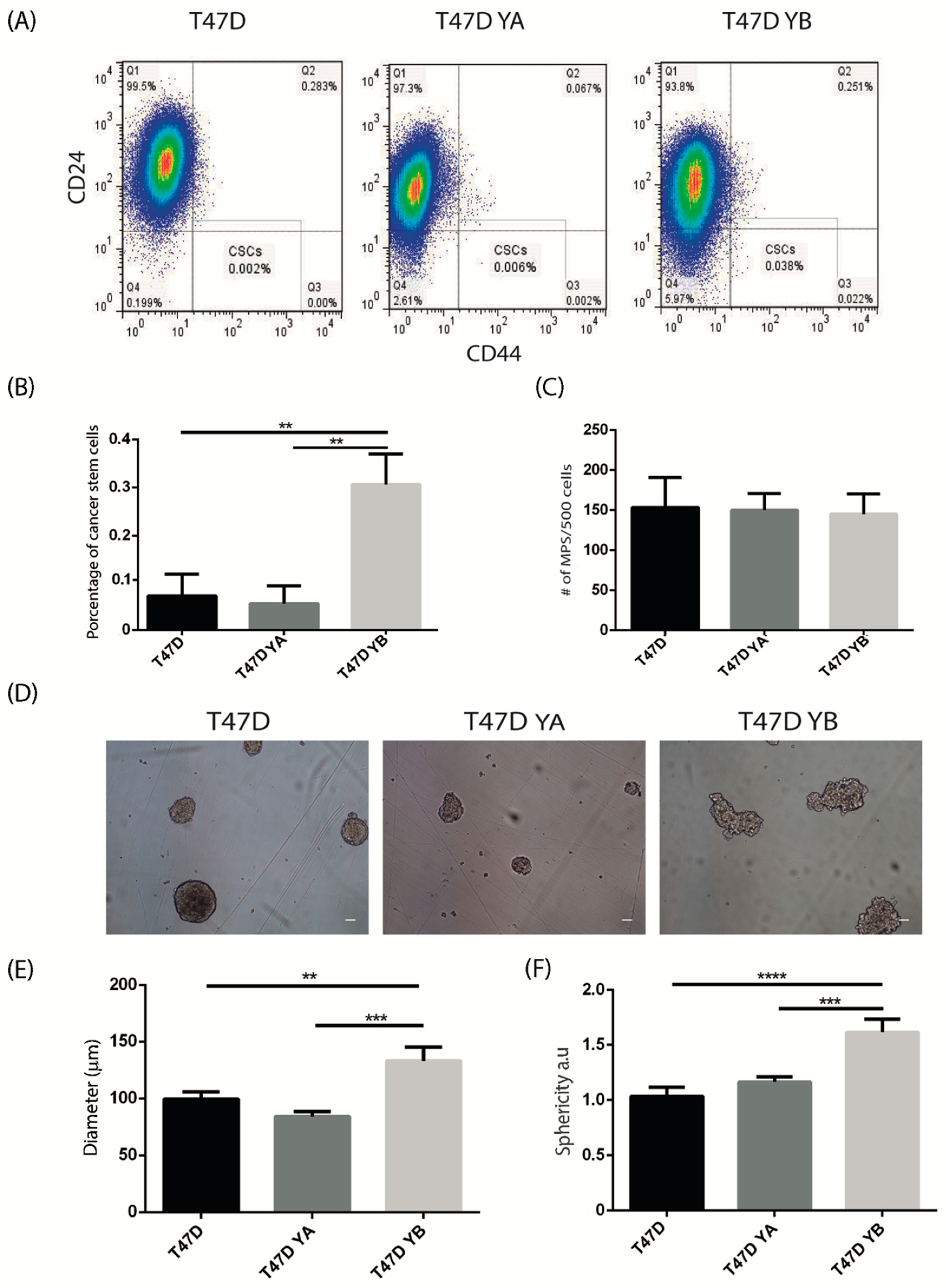 Cells 09 02074 g005 Cells 09 02074 g005