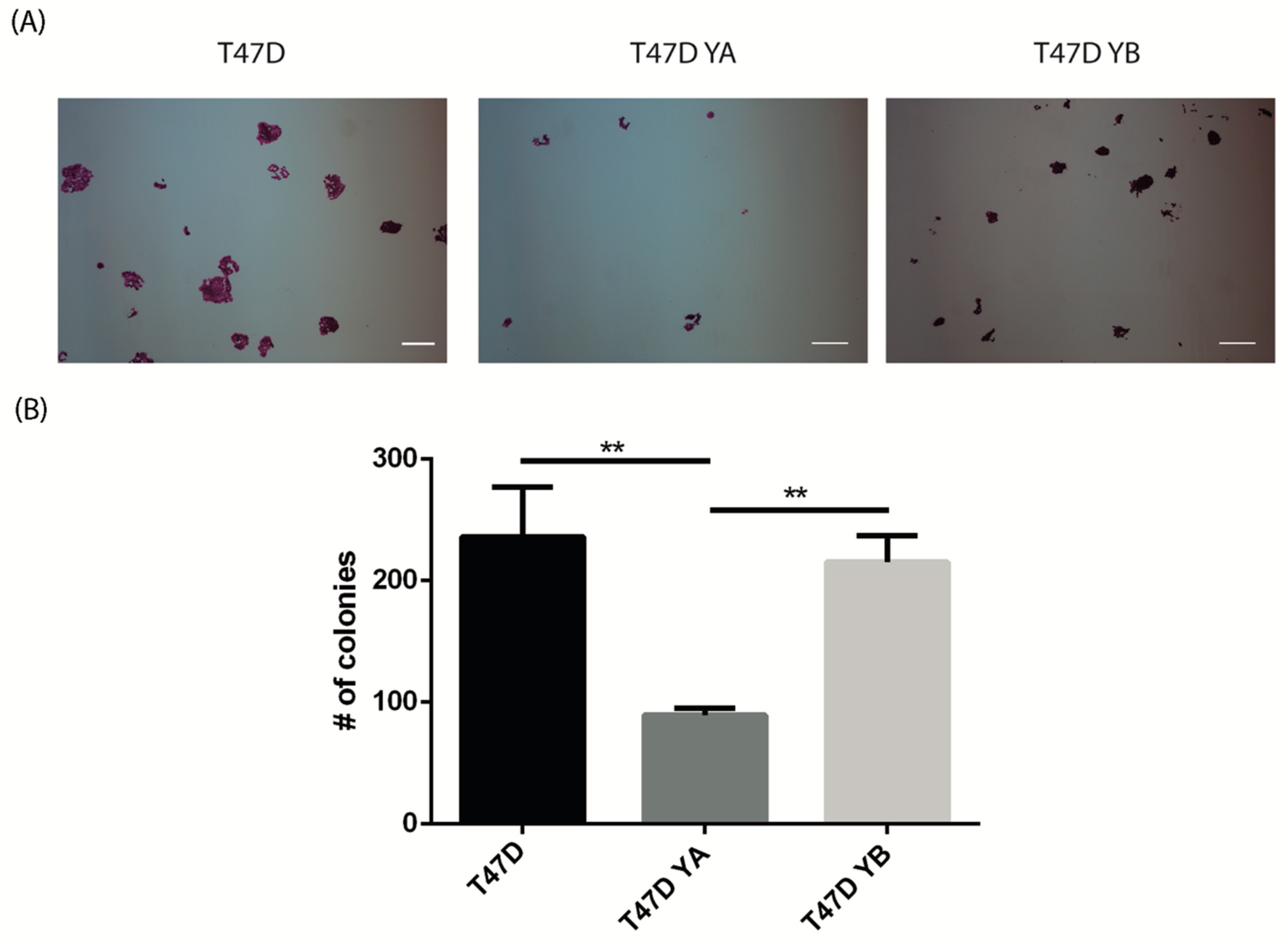 Cells 09 02074 g006 Cells 09 02074 g006