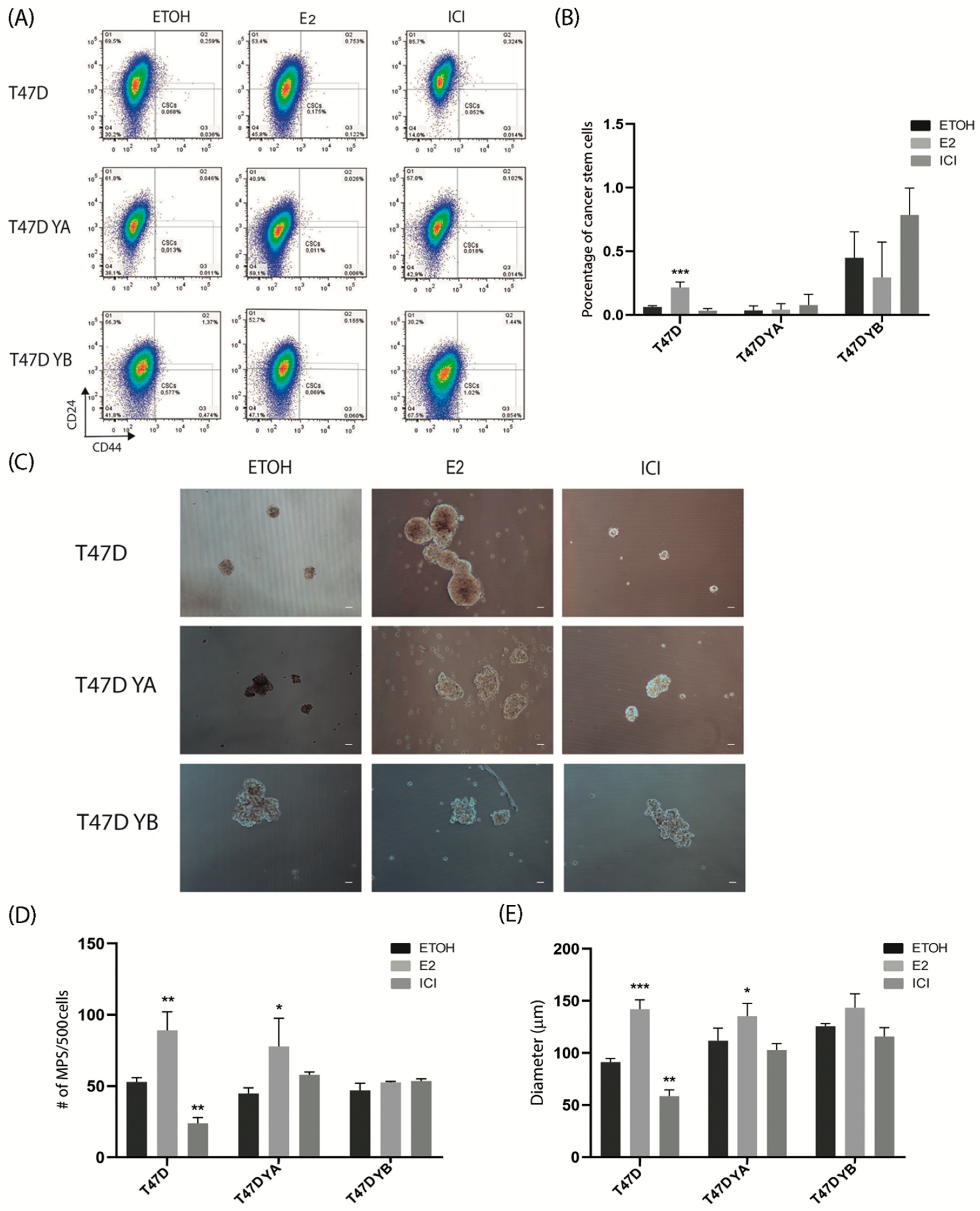 Cells 09 02074 g007 Cells 09 02074 g007