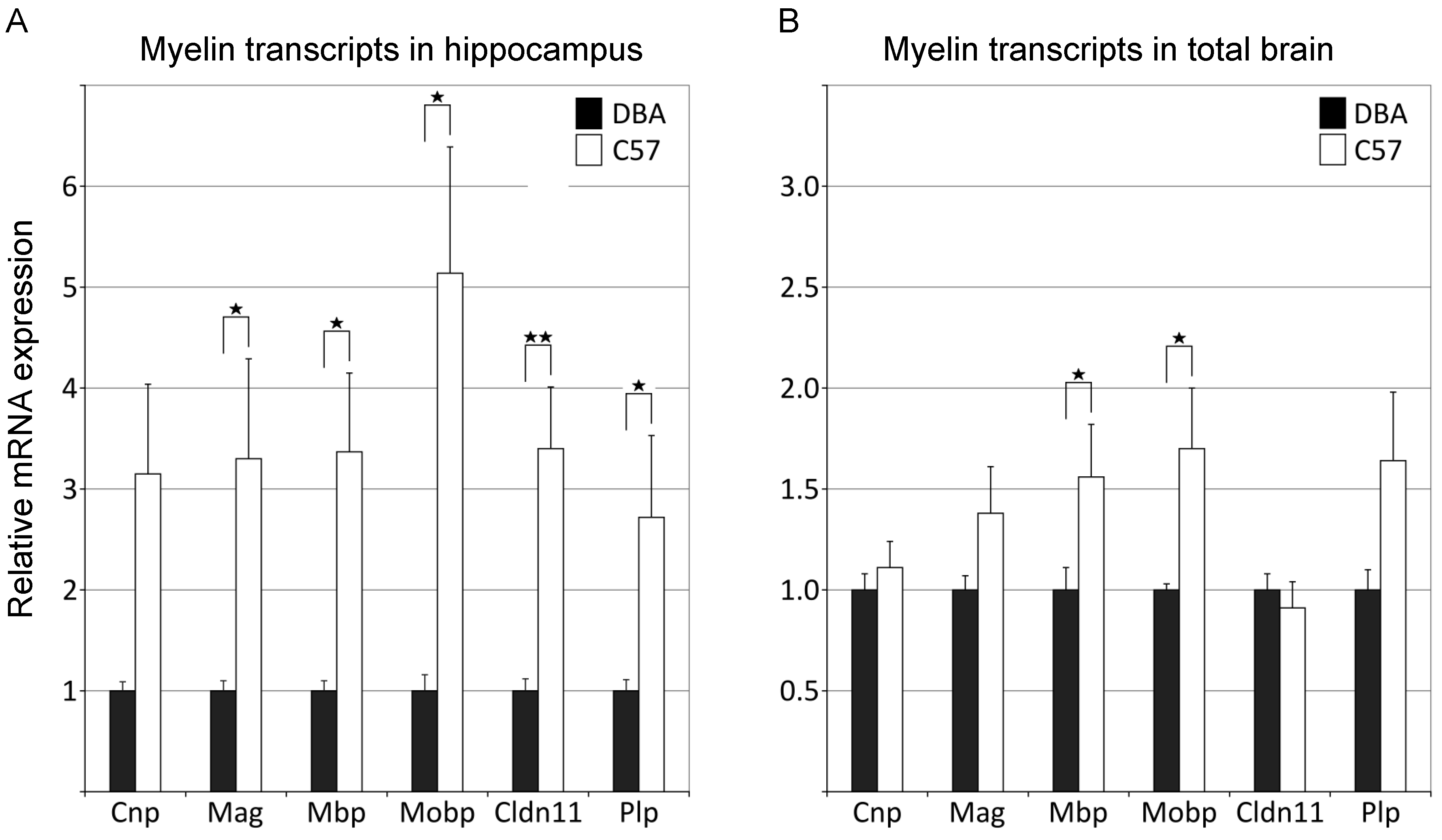 Cells 09 02119 g003 Cells 09 02119 g003