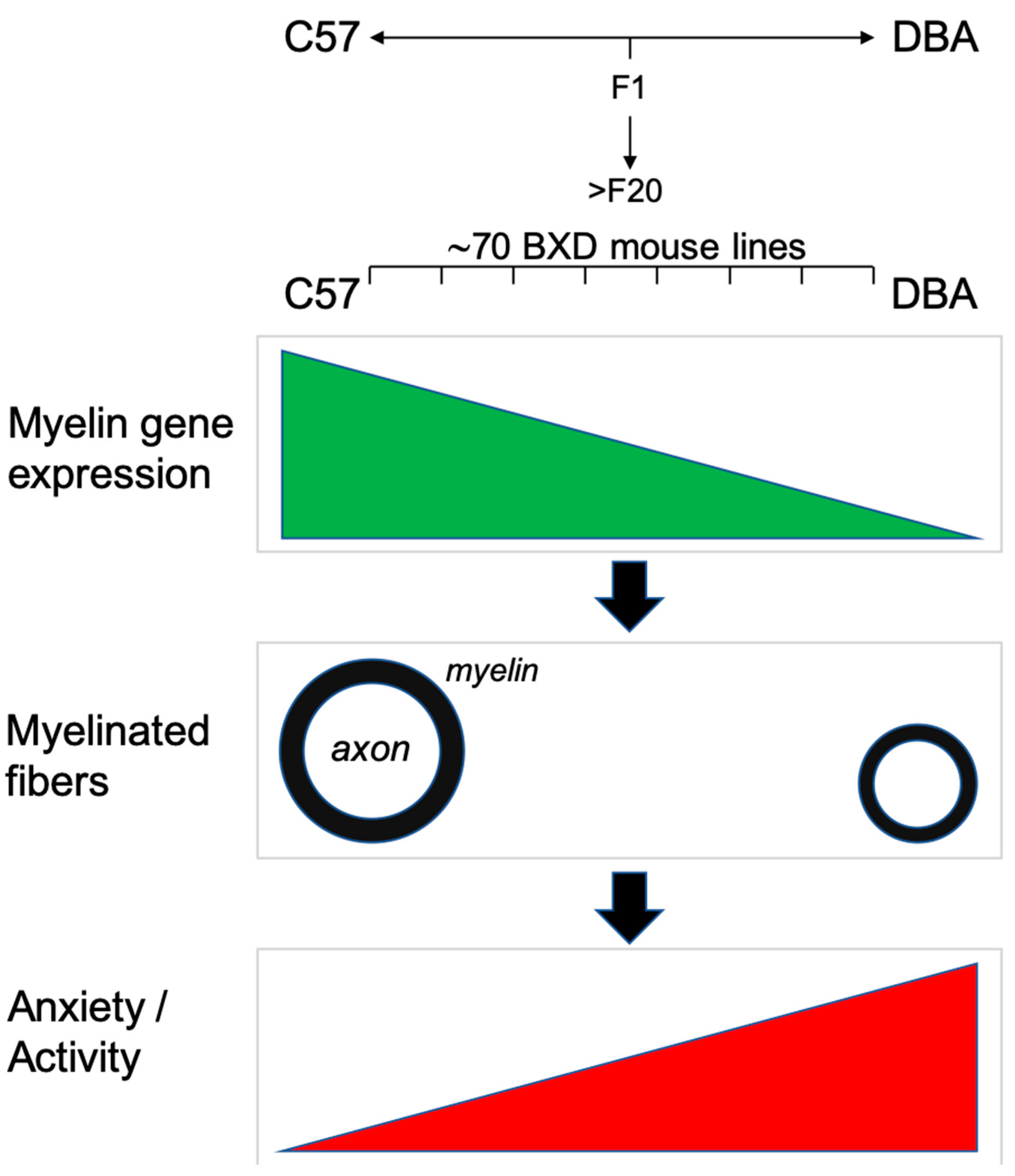 Cells 09 02119 g008 Cells 09 02119 g008