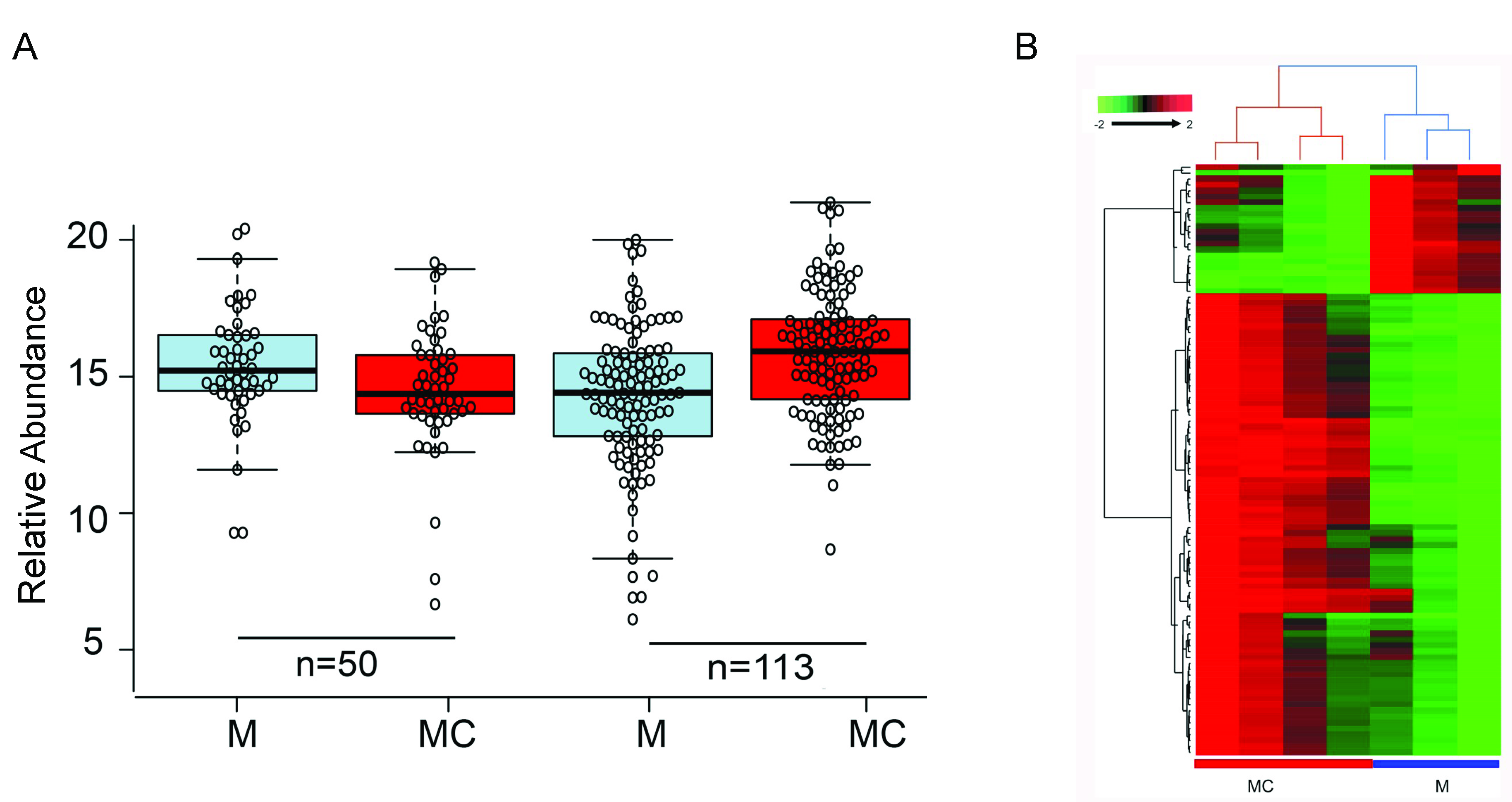 Cells 09 02175 g002 Cells 09 02175 g002