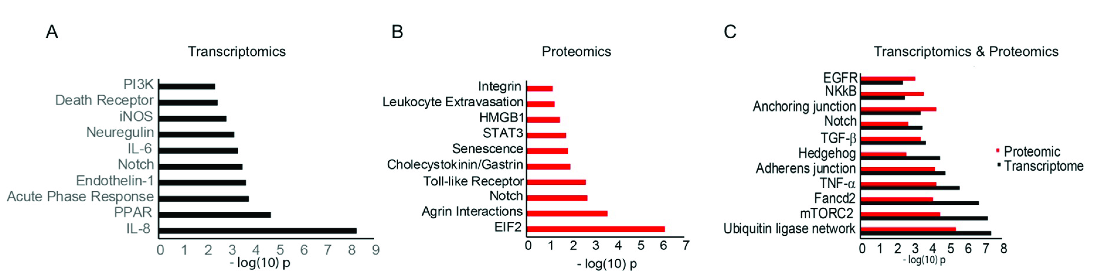 Cells 09 02175 g003 Cells 09 02175 g003