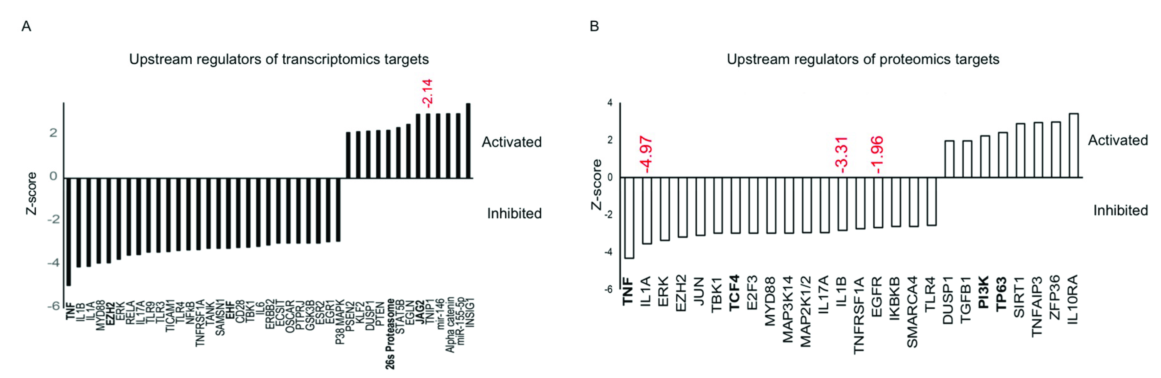 Cells 09 02175 g004 Cells 09 02175 g004