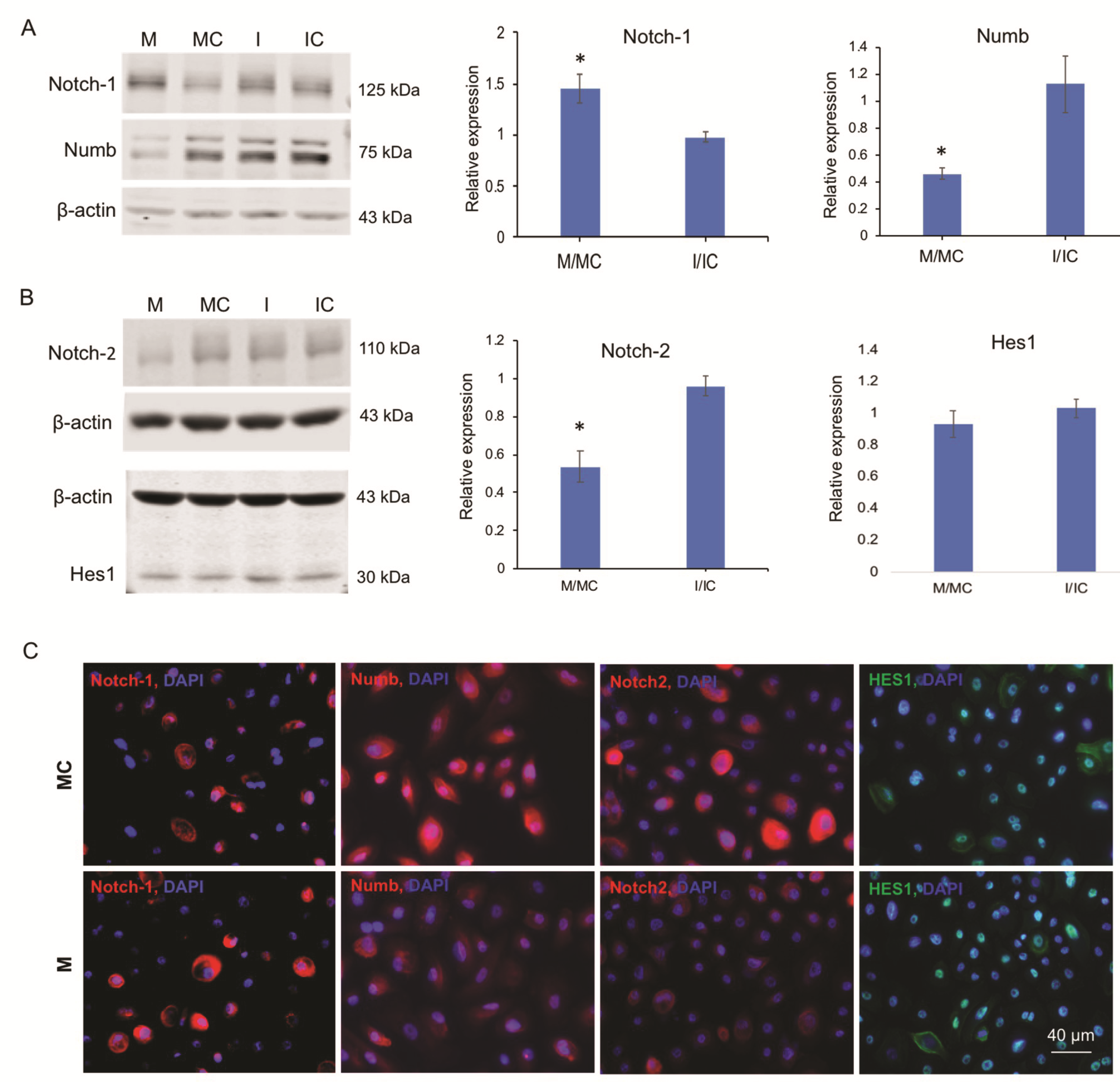 Cells 09 02175 g005 Cells 09 02175 g005