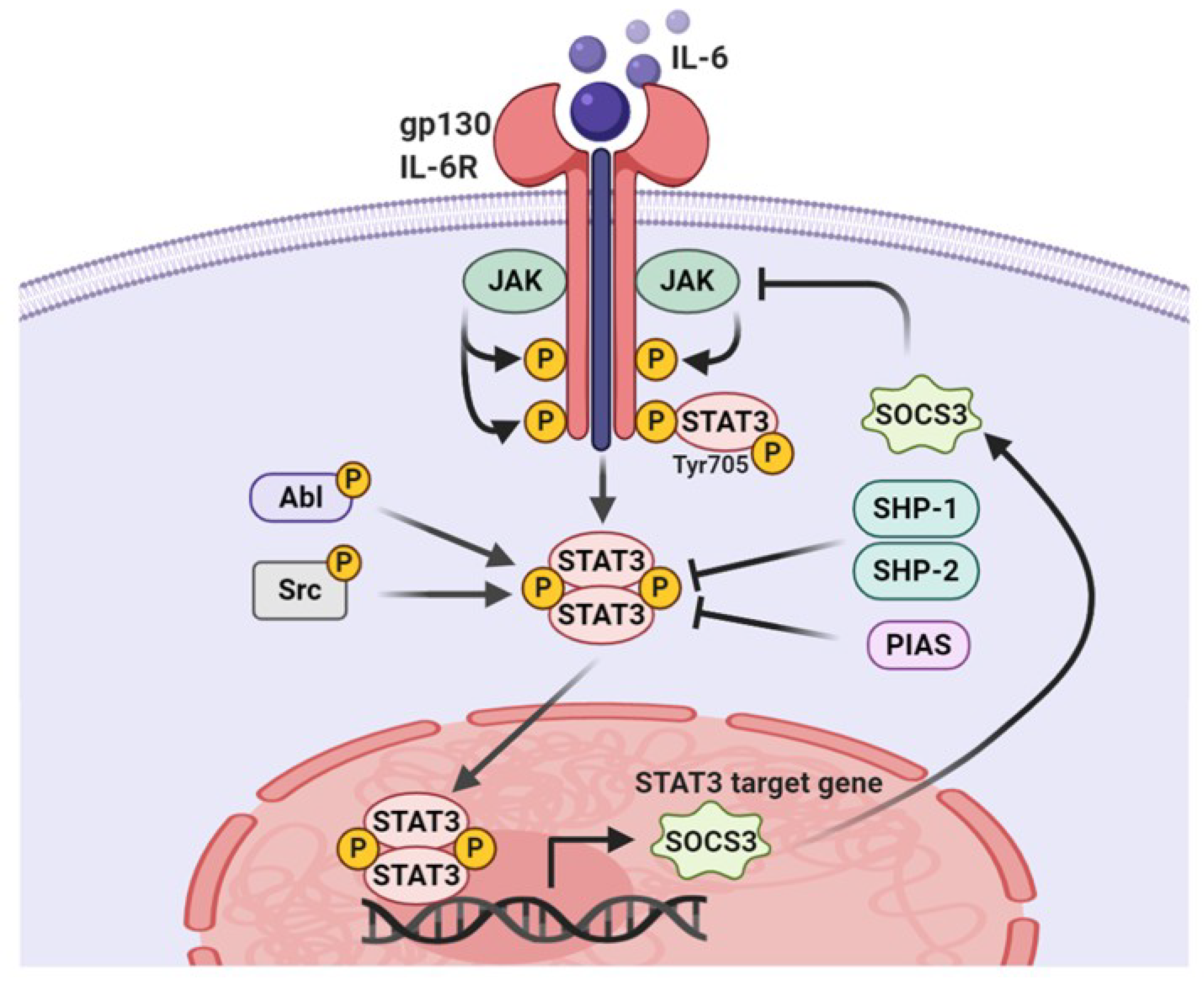 Cells 09 02202 g002 Cells 09 02202 g002