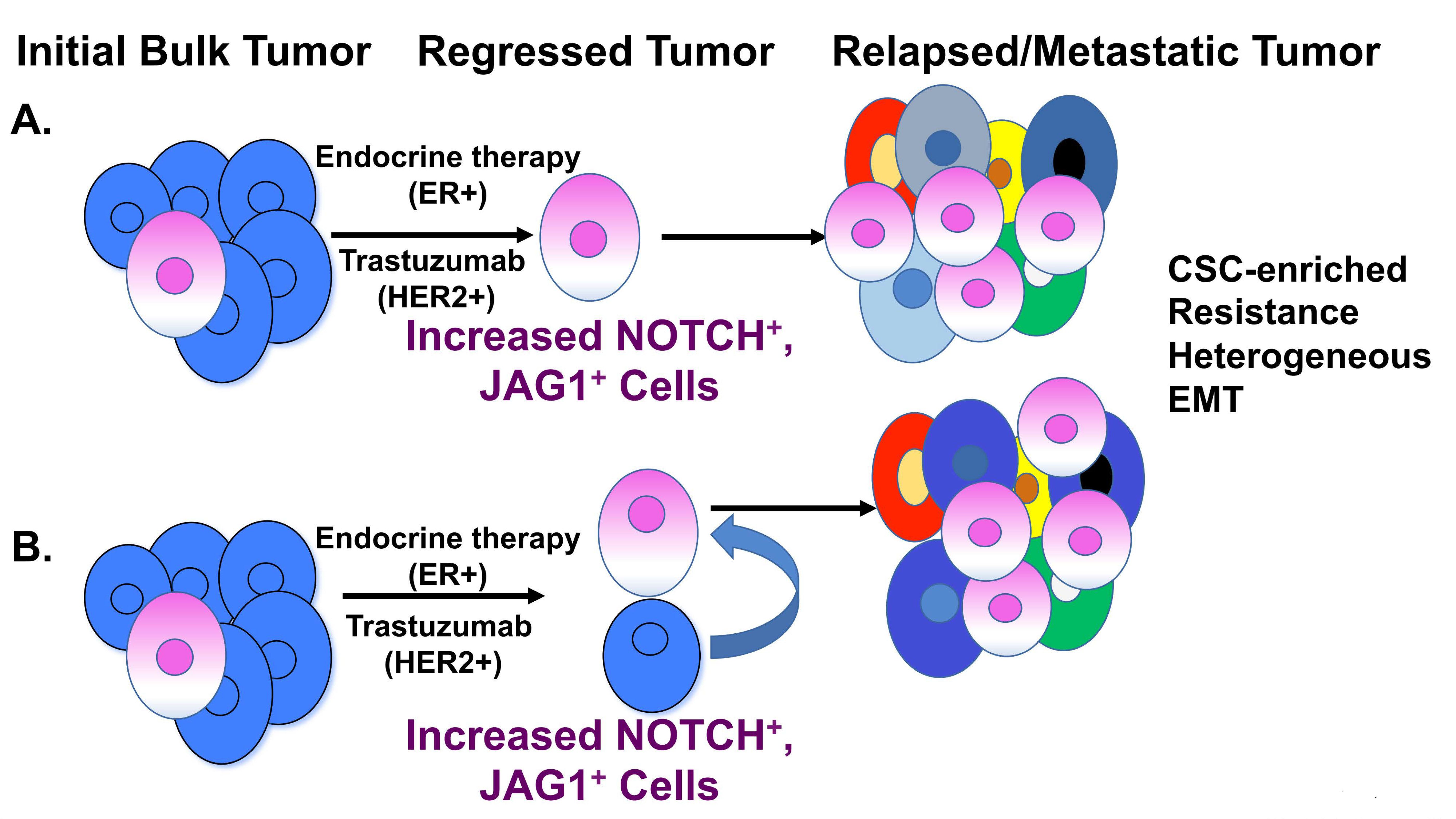 Cells 09 02204 g003 Cells 09 02204 g003