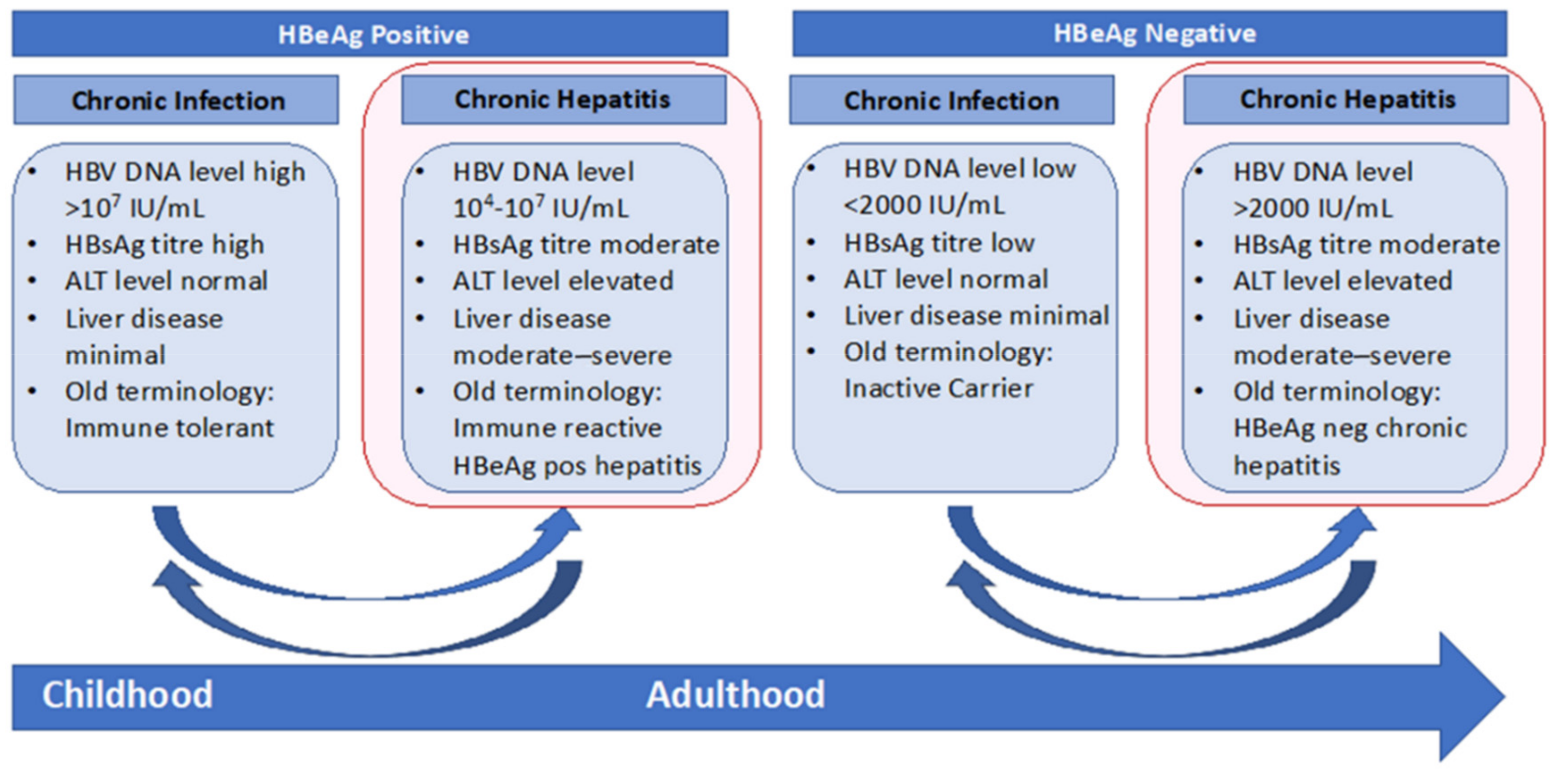 hepatitis b treatment guidelines