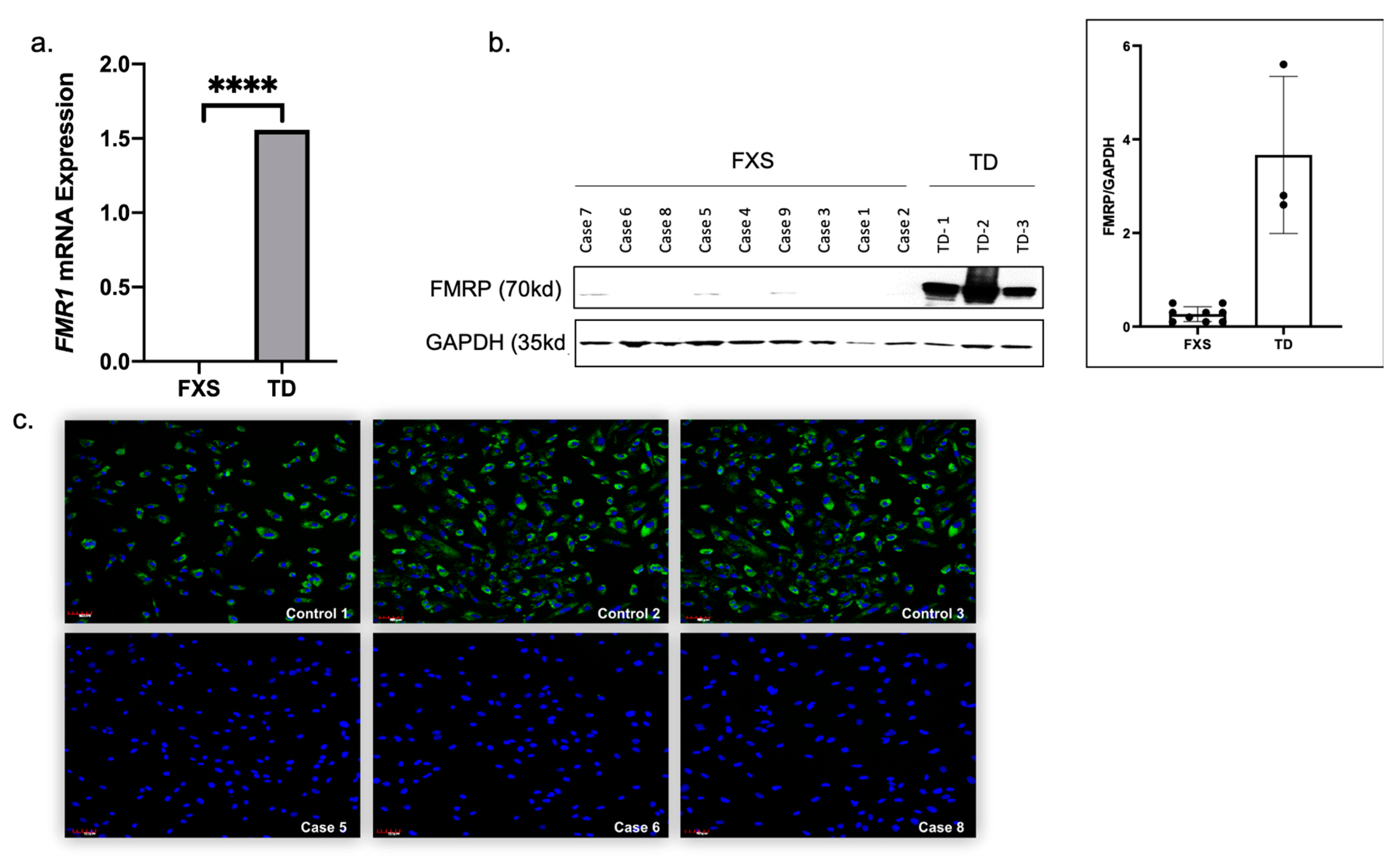 Cells 09 02240 g005 Cells 09 02240 g005