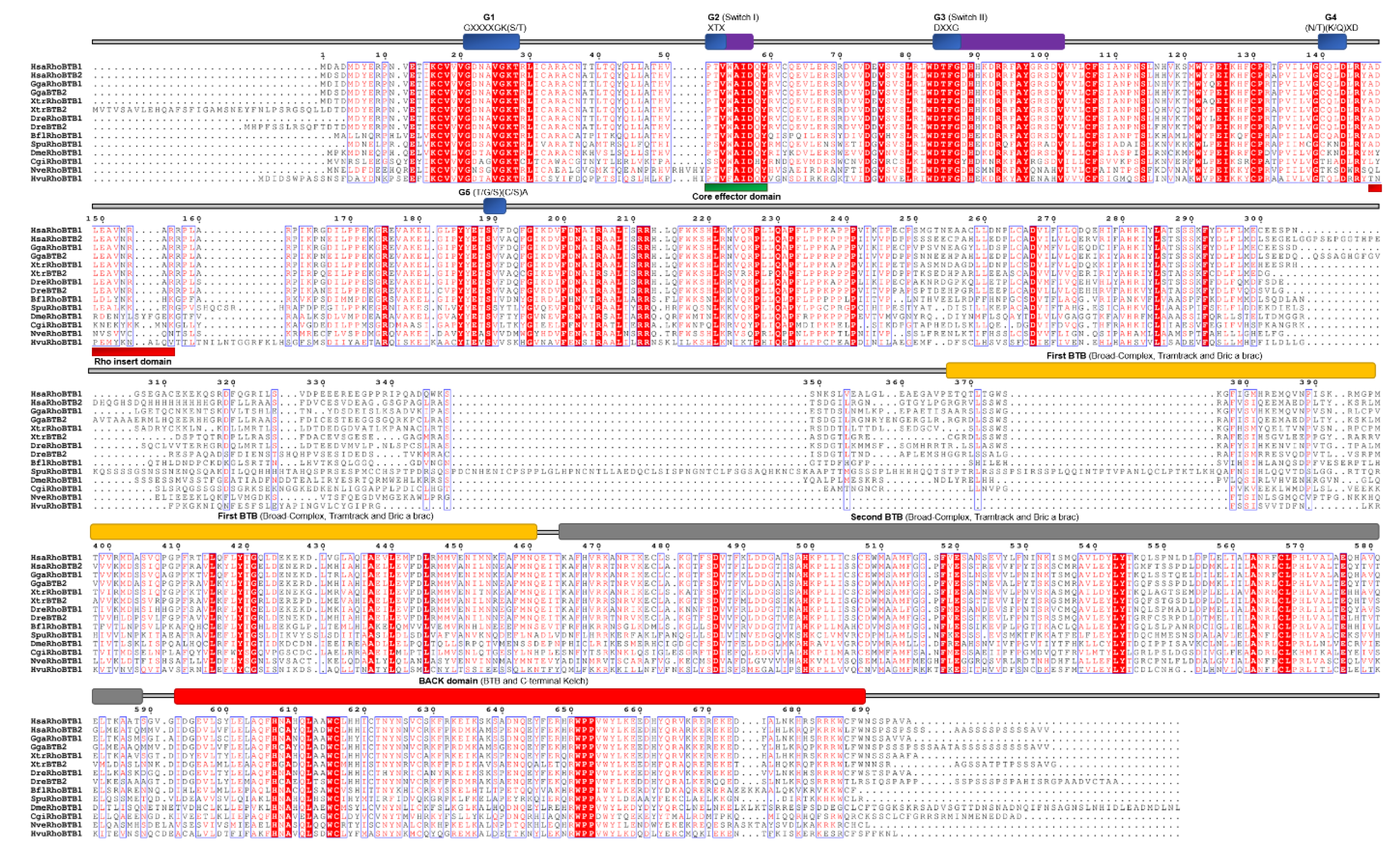 Cells 09 02279 g010 Cells 09 02279 g010