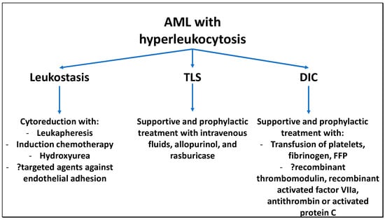 Cells Free Full Text Hyperleukocytosis And Leukostasis In Acute Myeloid Leukemia Can A Better Understanding Of The Underlying Molecular Pathophysiology Lead To Novel Treatments Html