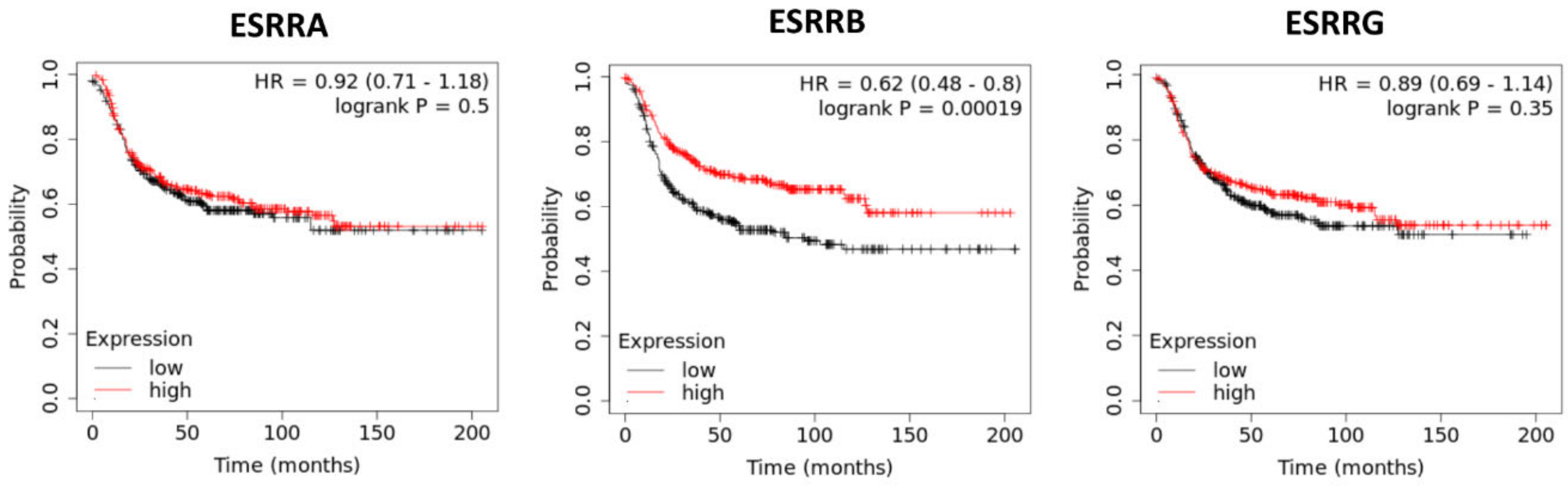 Cells 09 02358 g004 Cells 09 02358 g004