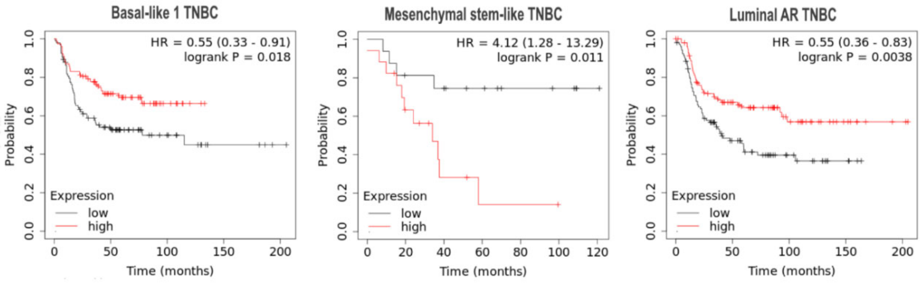 Cells 09 02358 g005 Cells 09 02358 g005