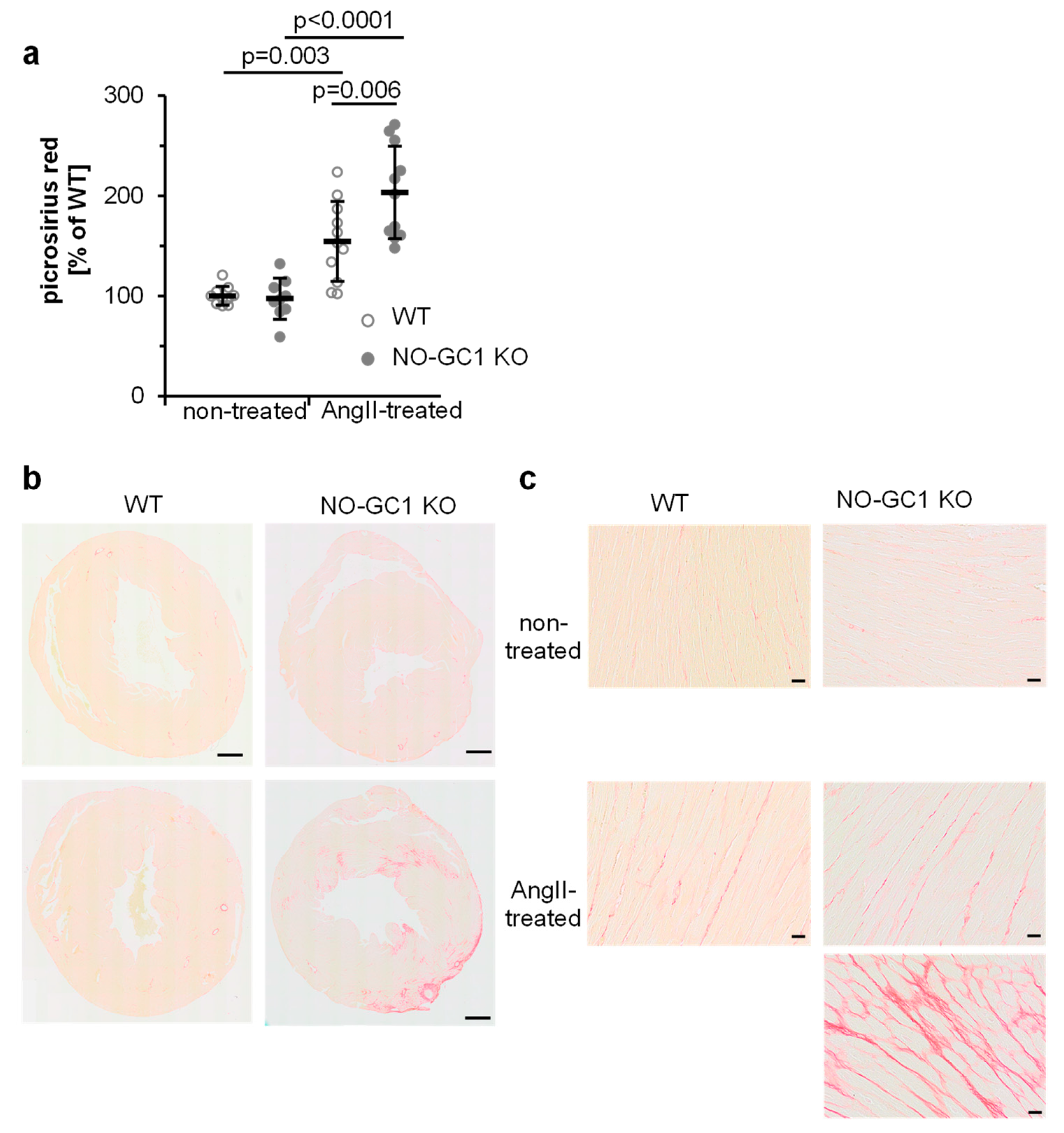 Cells 09 02436 g004 Cells 09 02436 g004