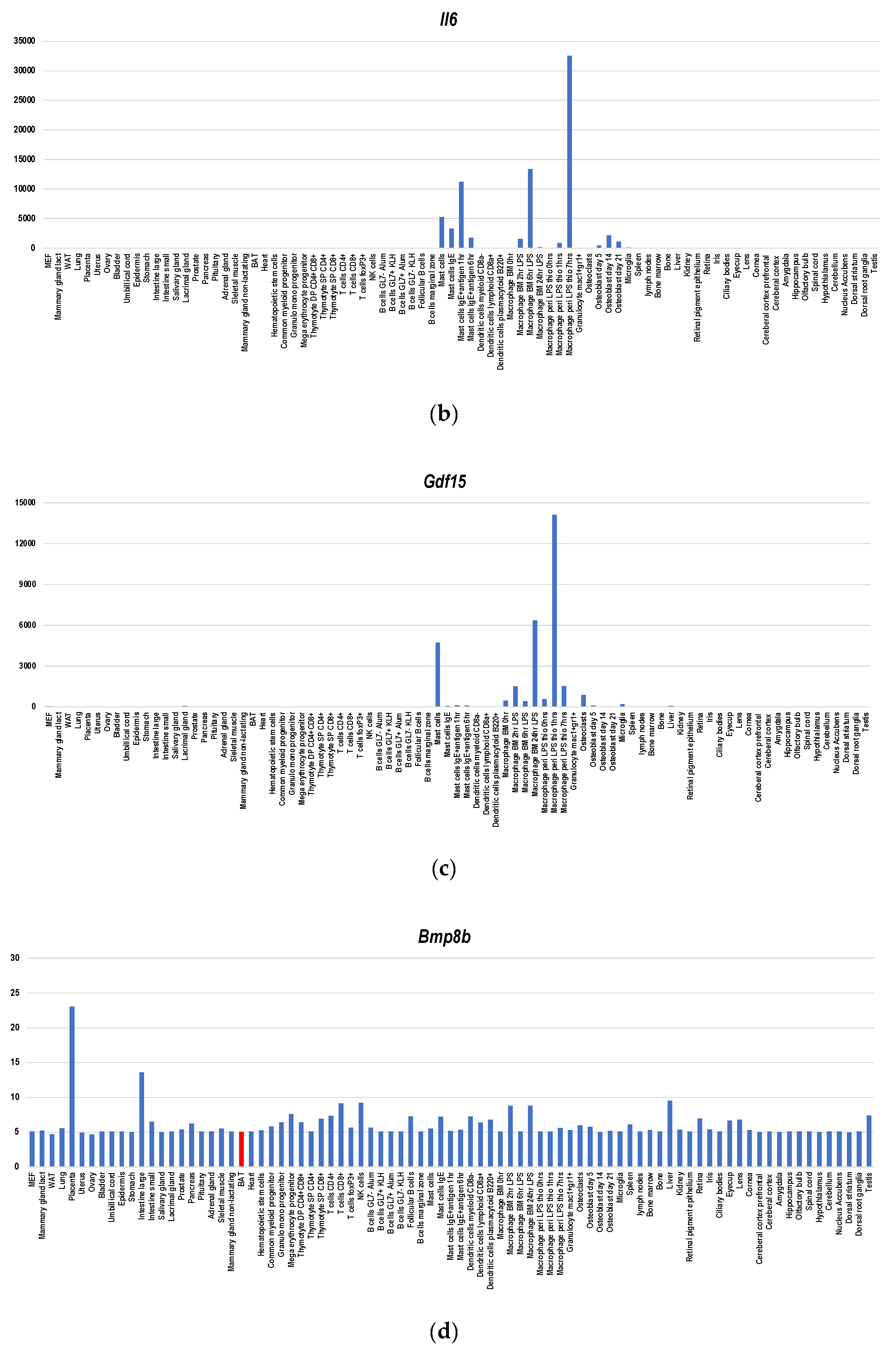 Cells 09 02449 g004b