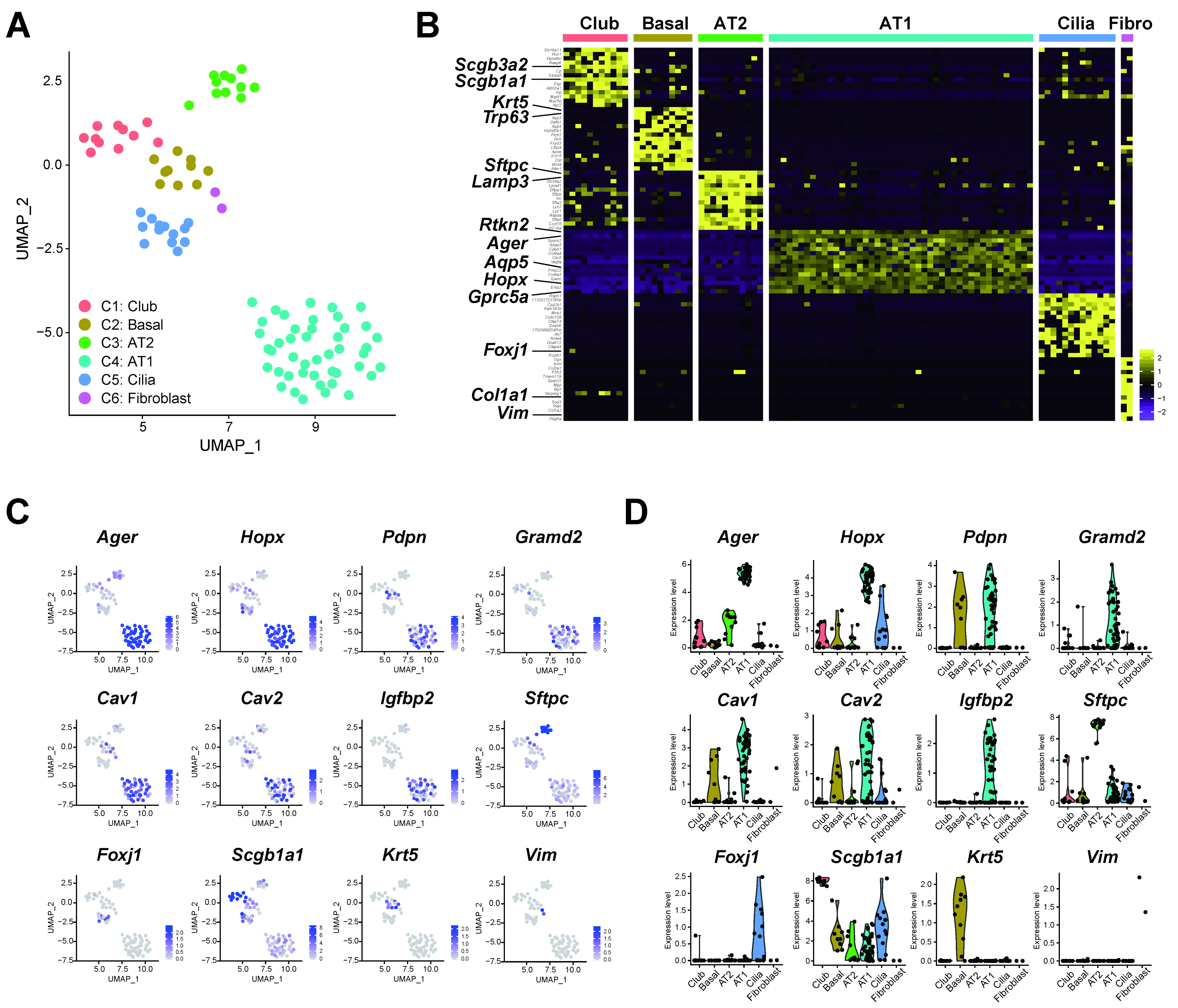 Cells 09 02460 g002 Cells 09 02460 g002