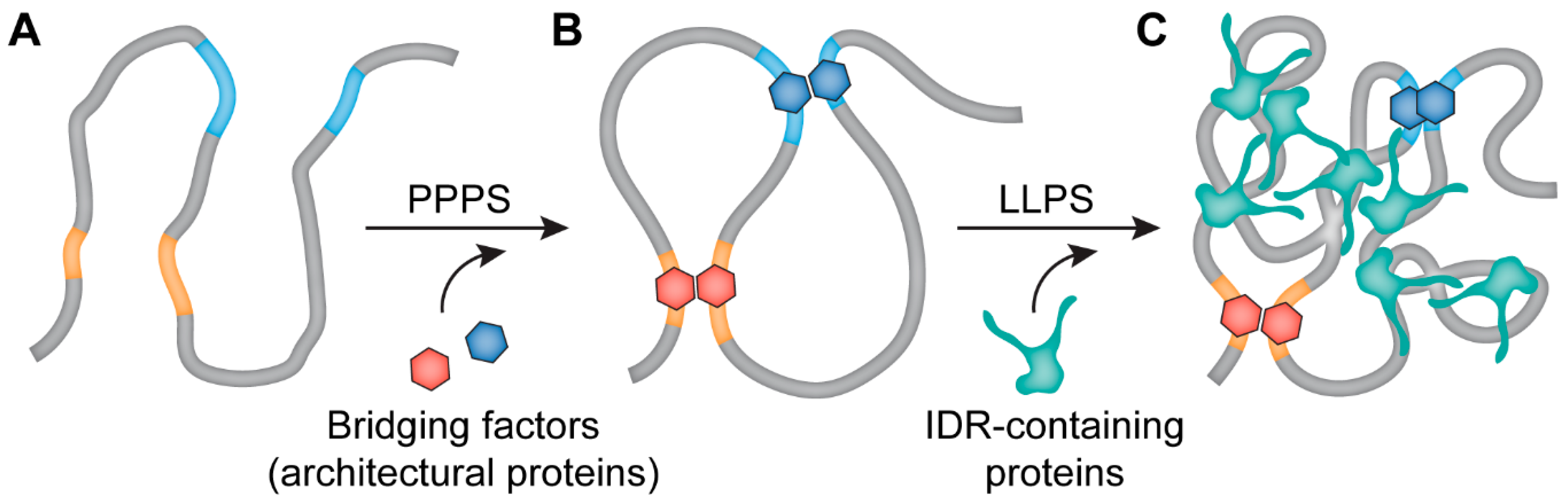 Cells 09 02480 g002 Cells 09 02480 g002