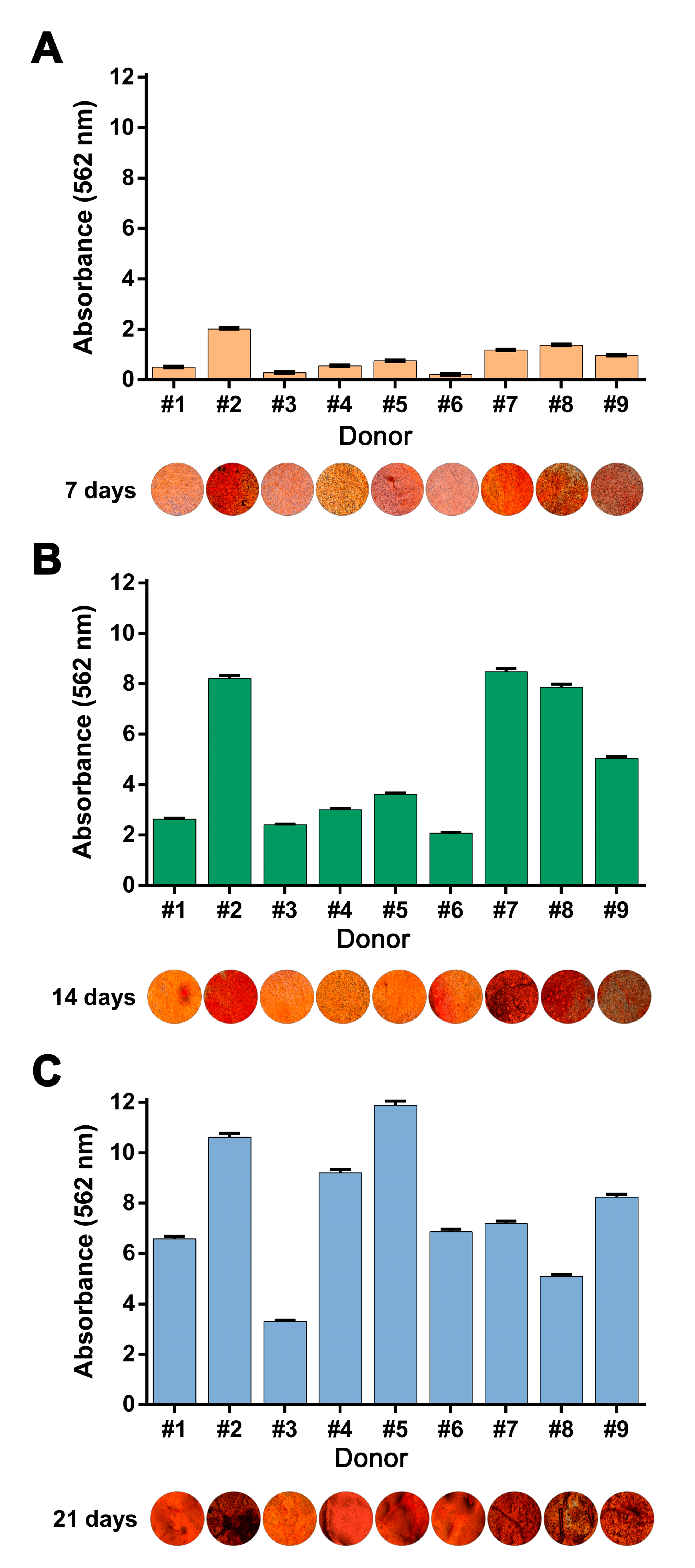 Cells 09 02559 g004 Cells 09 02559 g004
