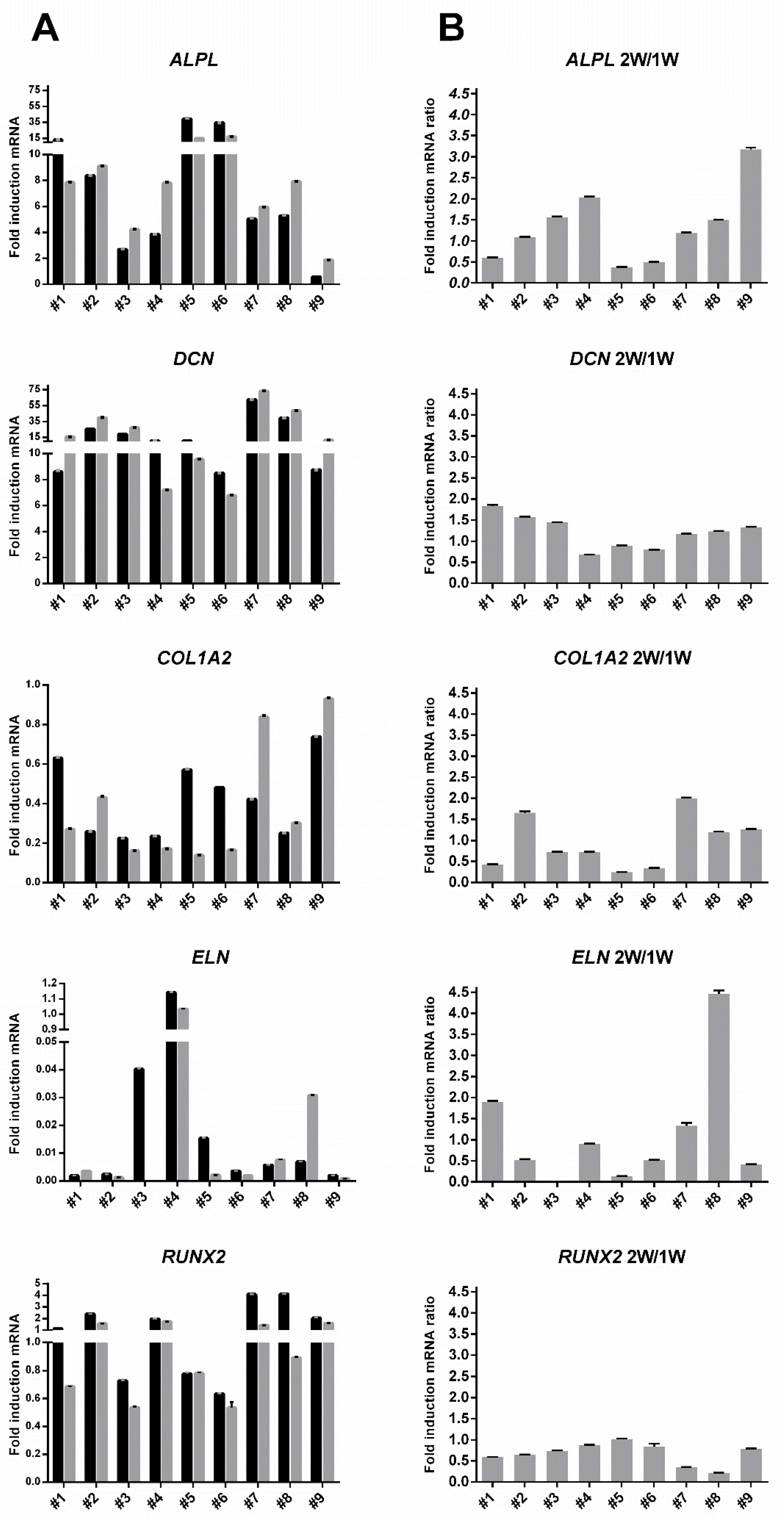 Cells 09 02559 g005 Cells 09 02559 g005