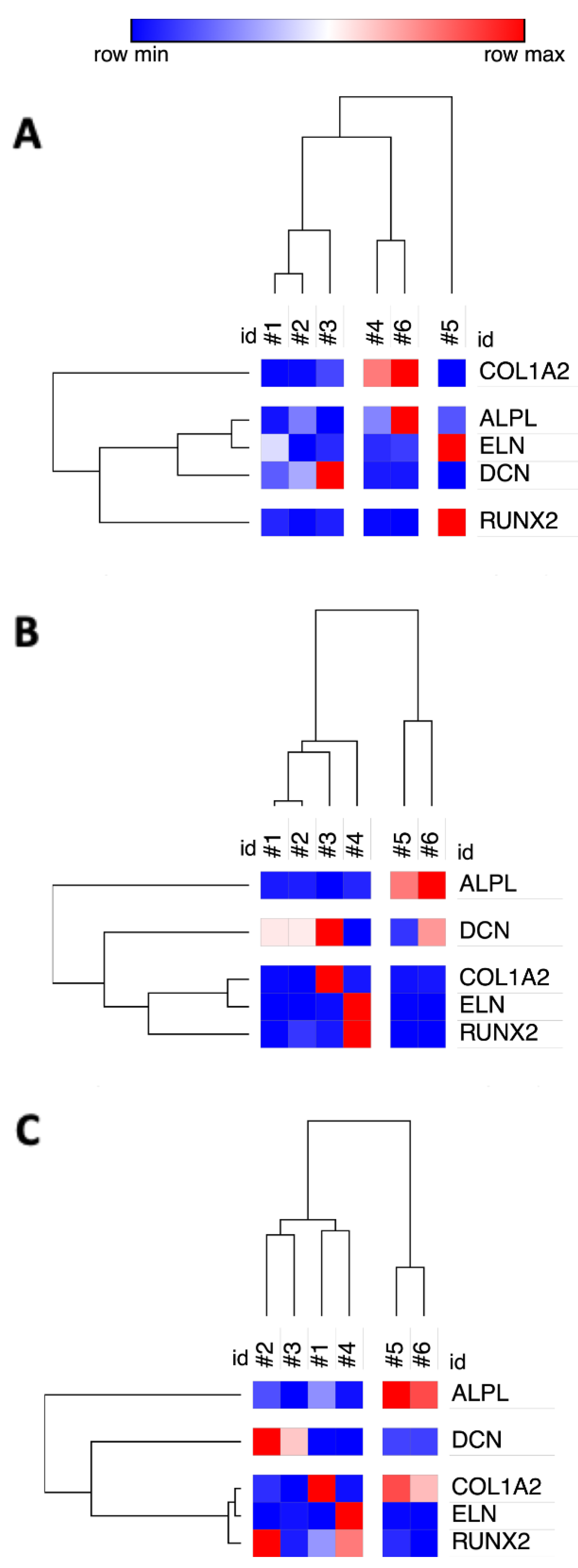 Cells 09 02559 g007 Cells 09 02559 g007